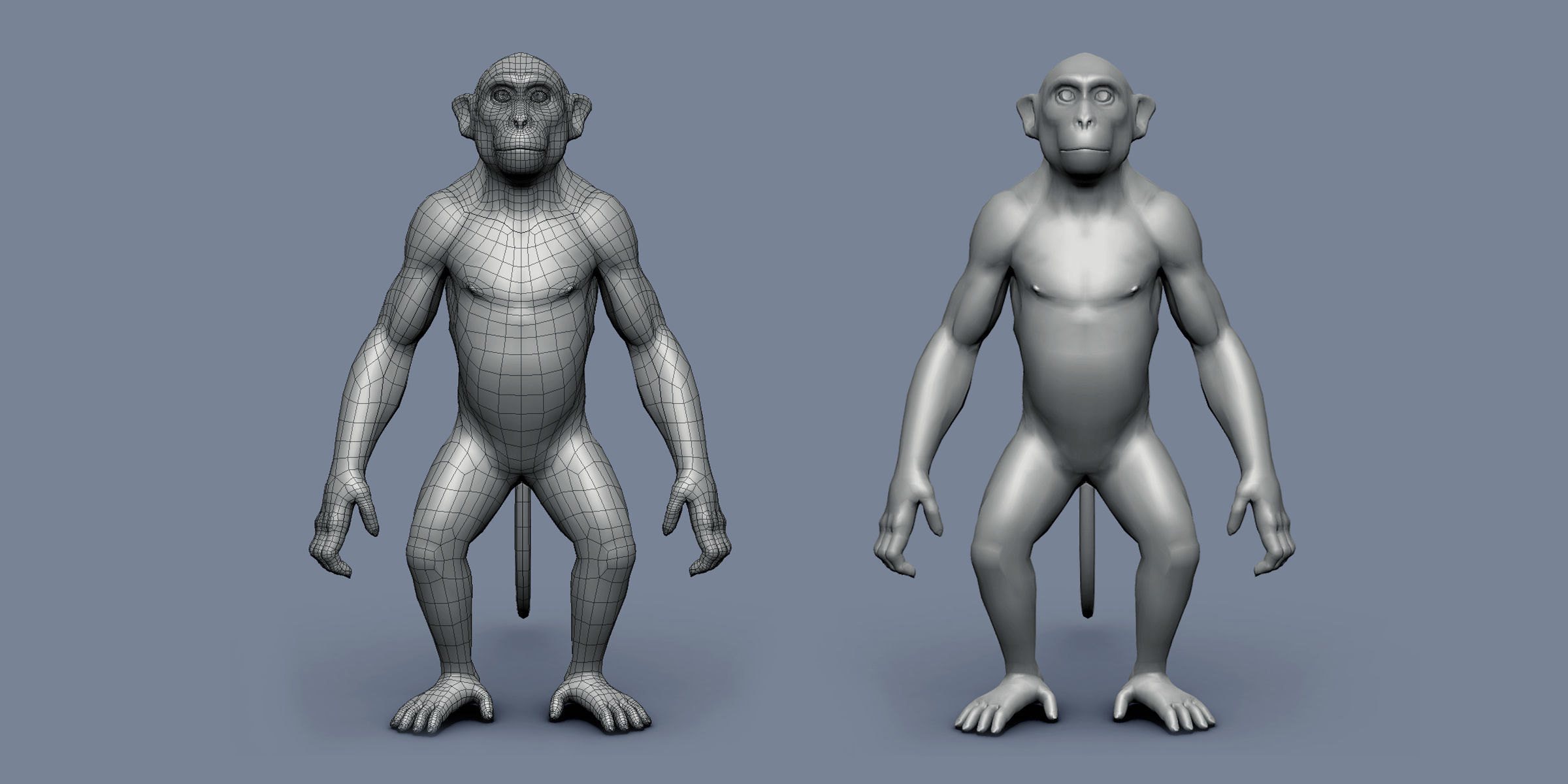 16 Wild Animals Collection _87