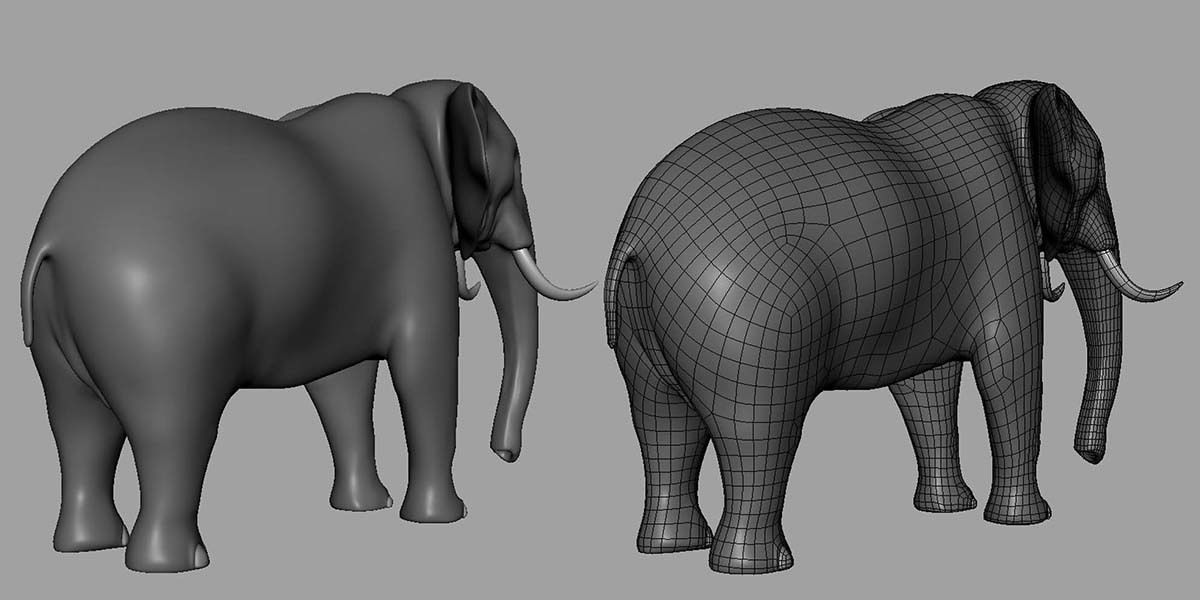 16 Wild Animals Collection _21