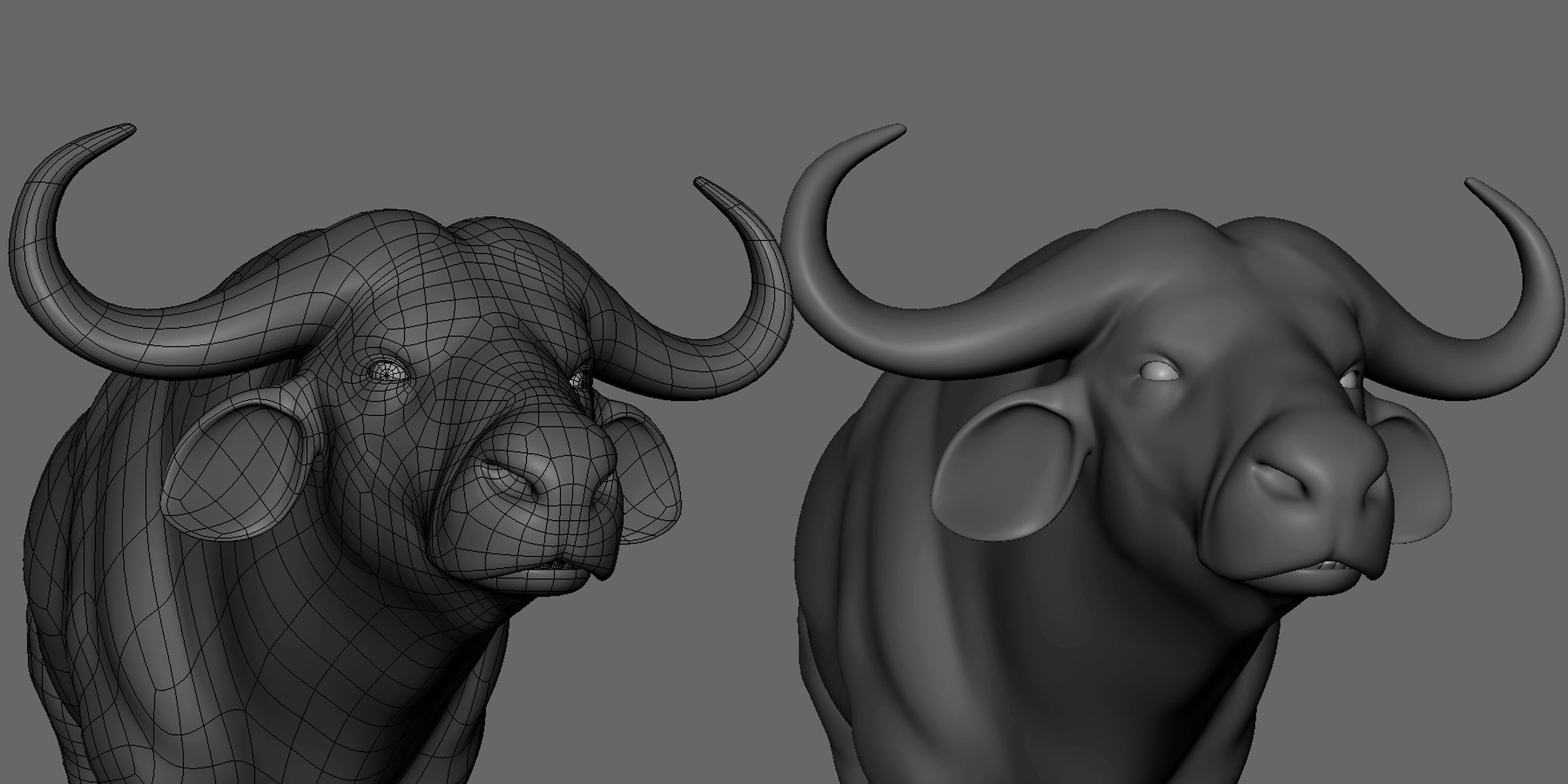 16 Wild Animals Collection _64