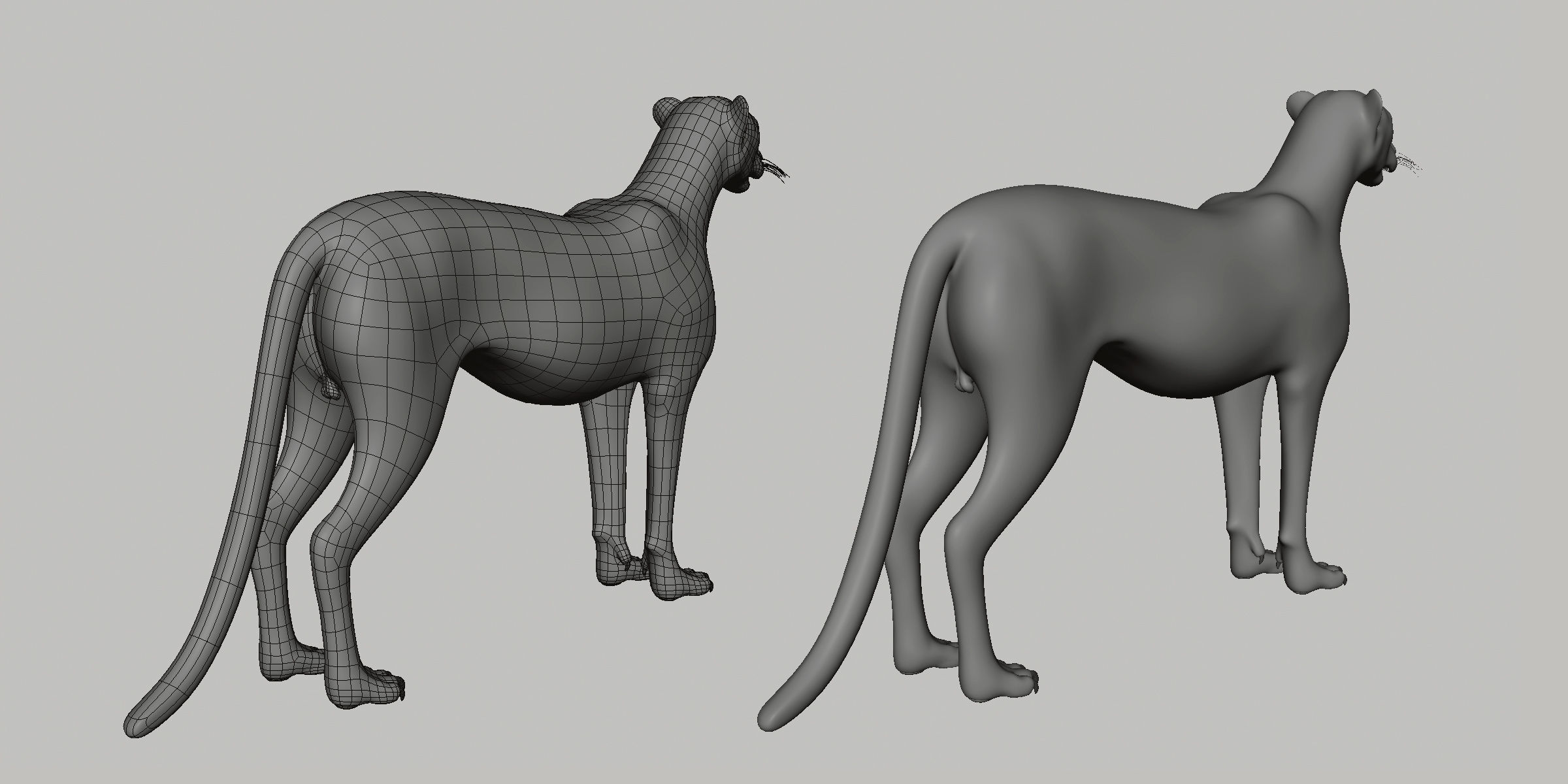 16 Wild Animals Collection _79