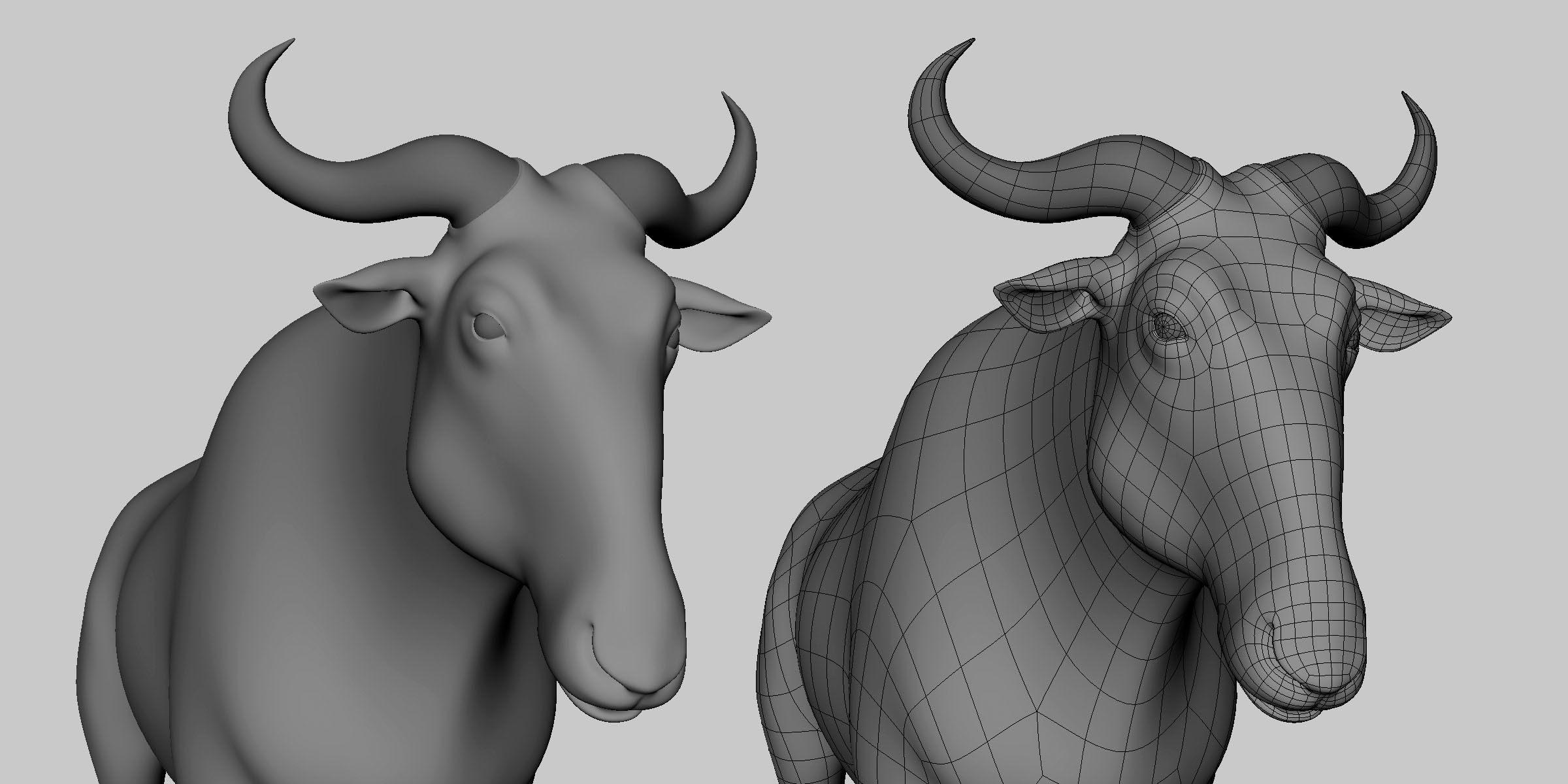 16 Wild Animals Collection _80