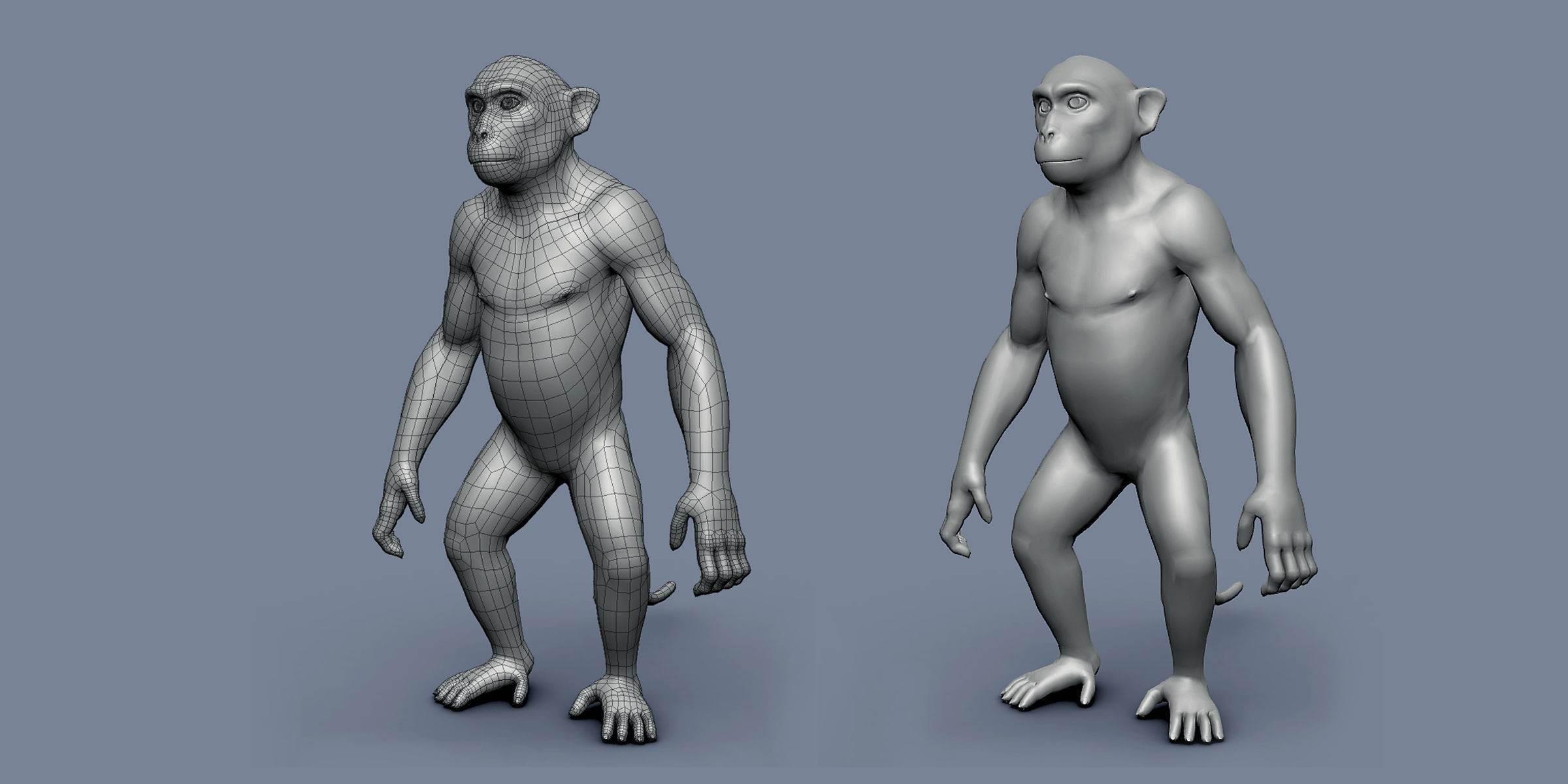 16 Wild Animals Collection _84