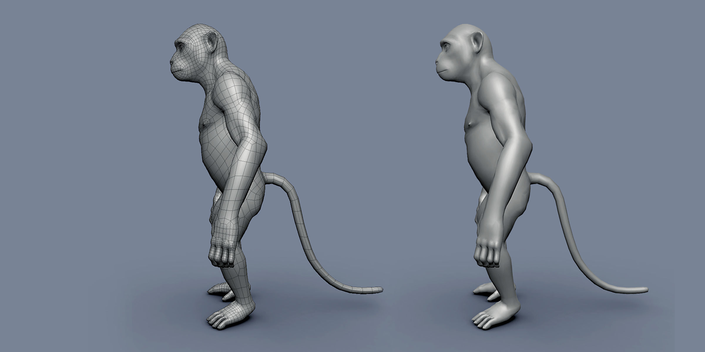 16 Wild Animals Collection _86