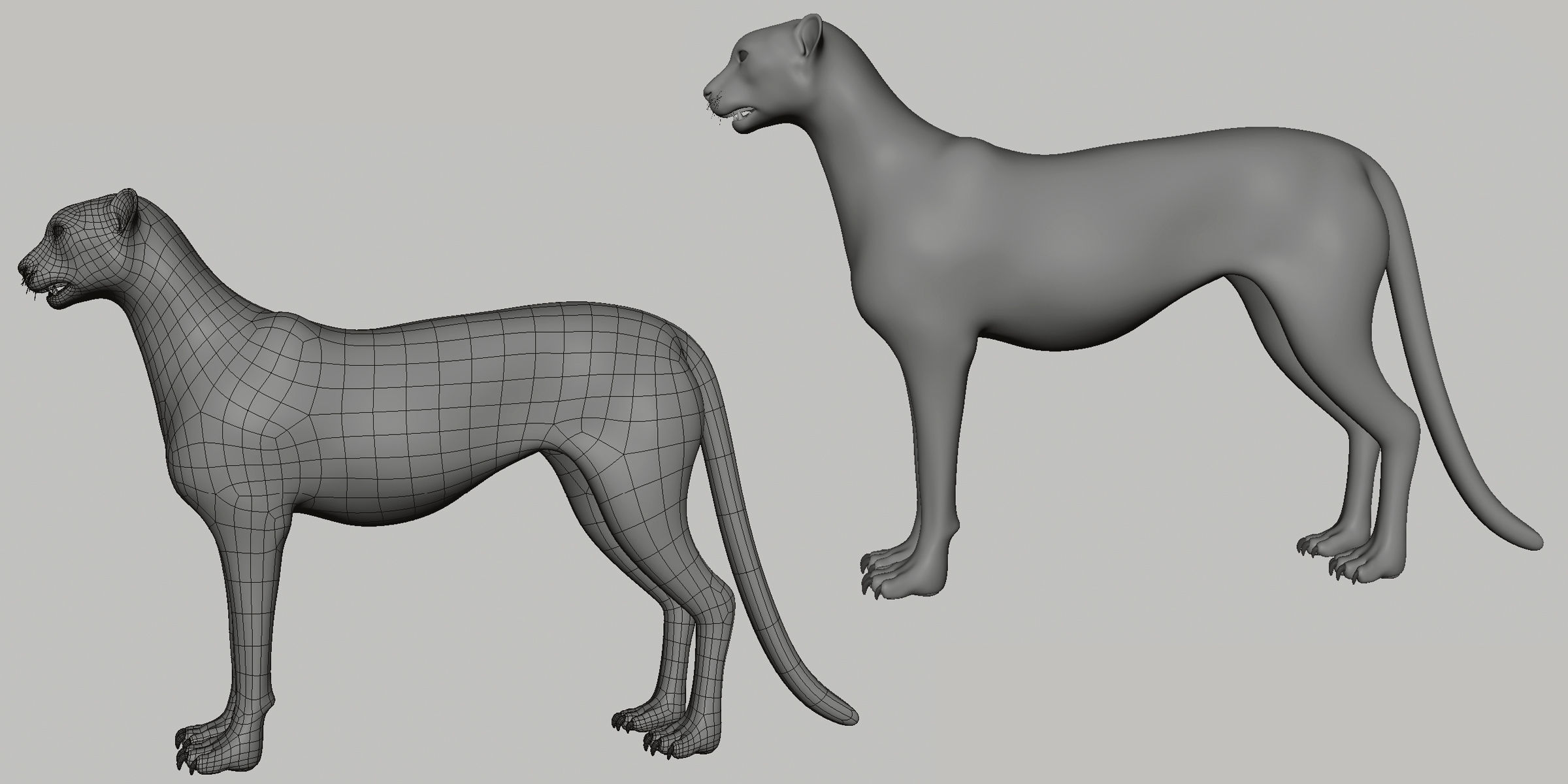 16 Wild Animals Collection _78