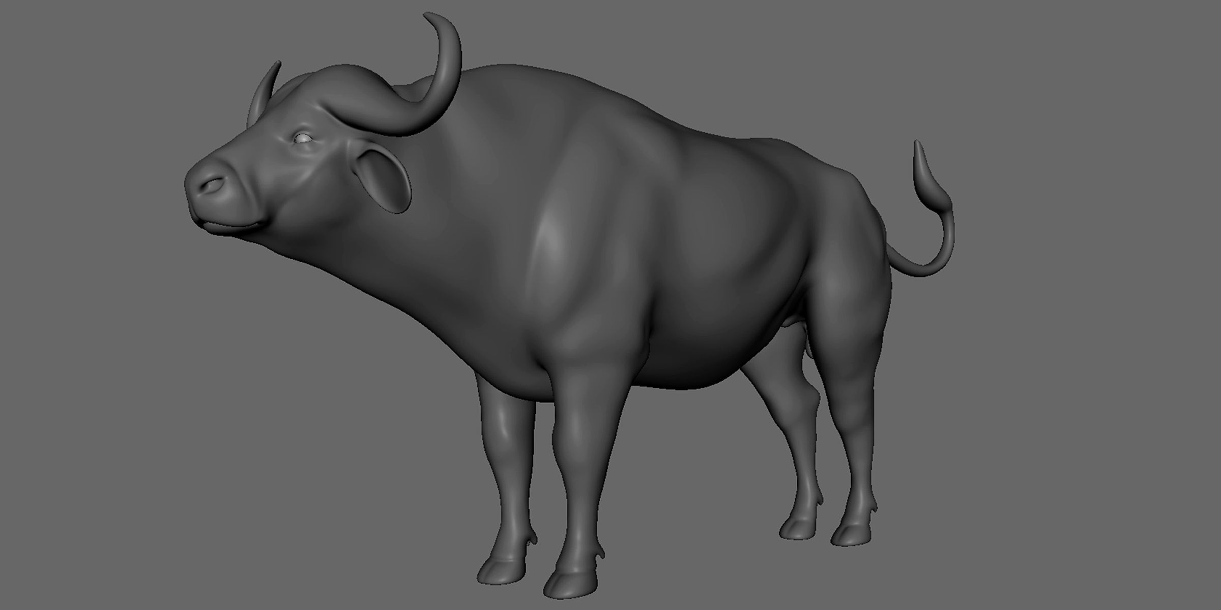 16 Wild Animals Collection _68