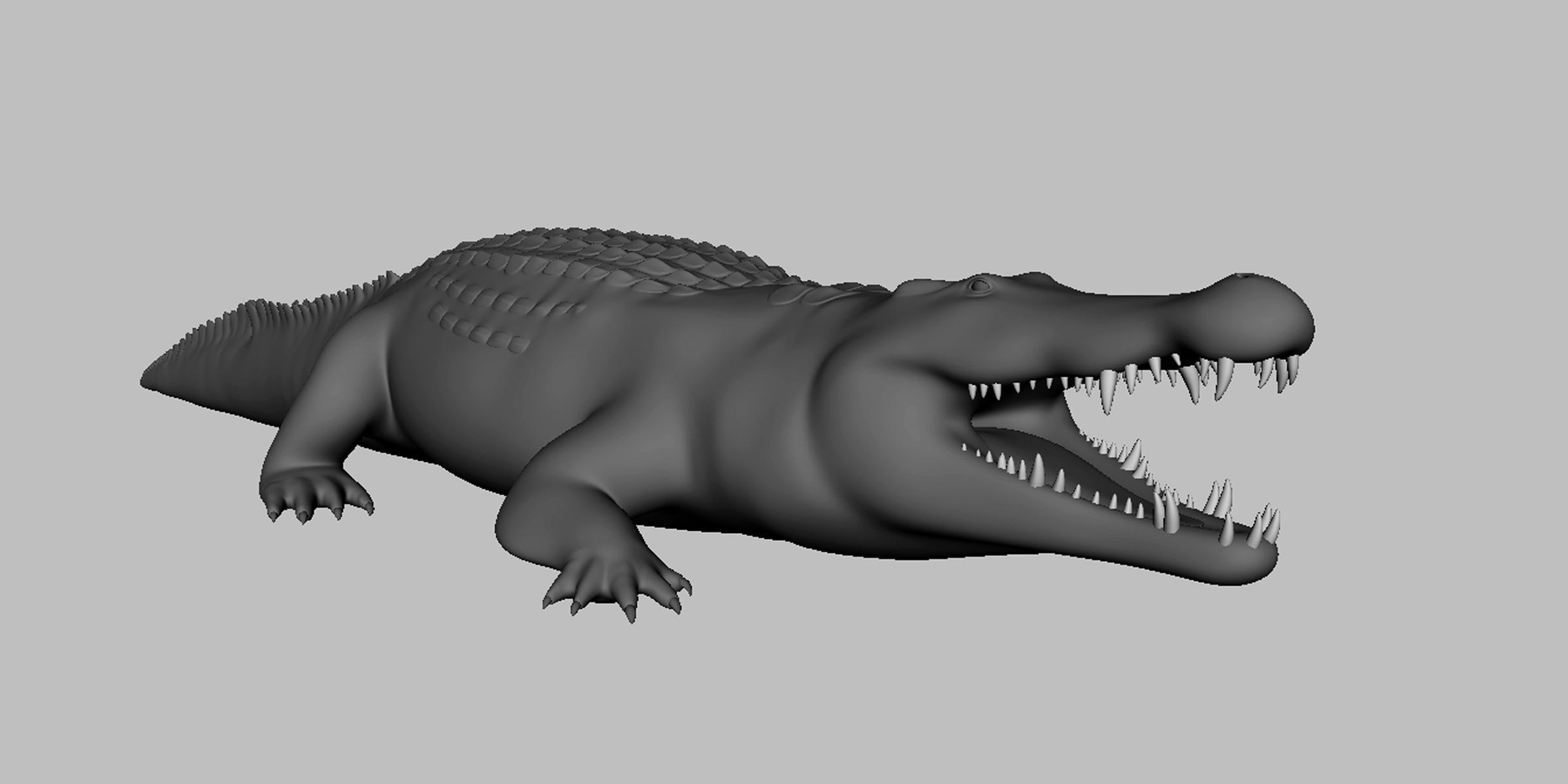 16 Wild Animals Collection _26