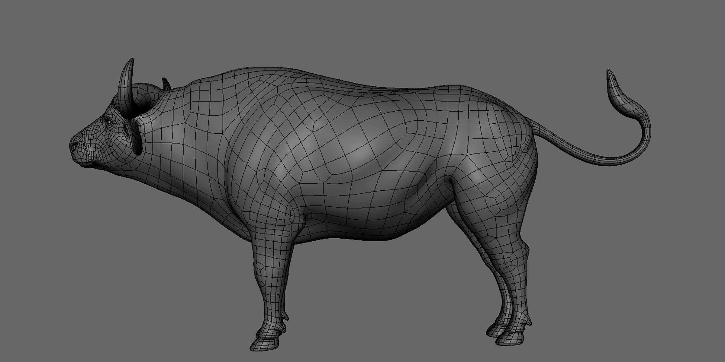 16 Wild Animals Collection _67