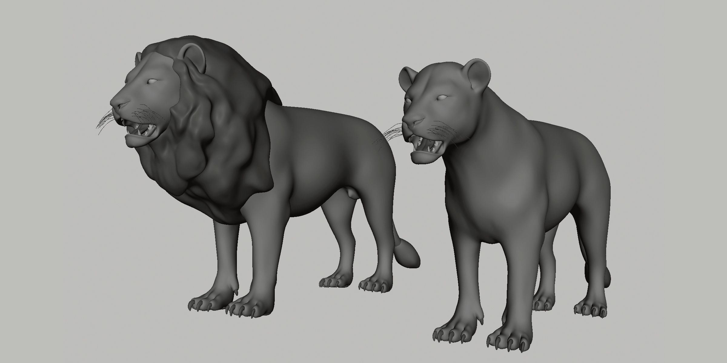 16 Wild Animals Collection _59