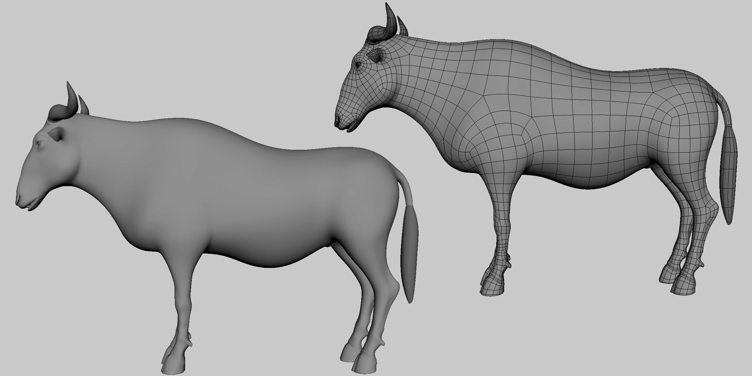 16 Wild Animals Collection _81