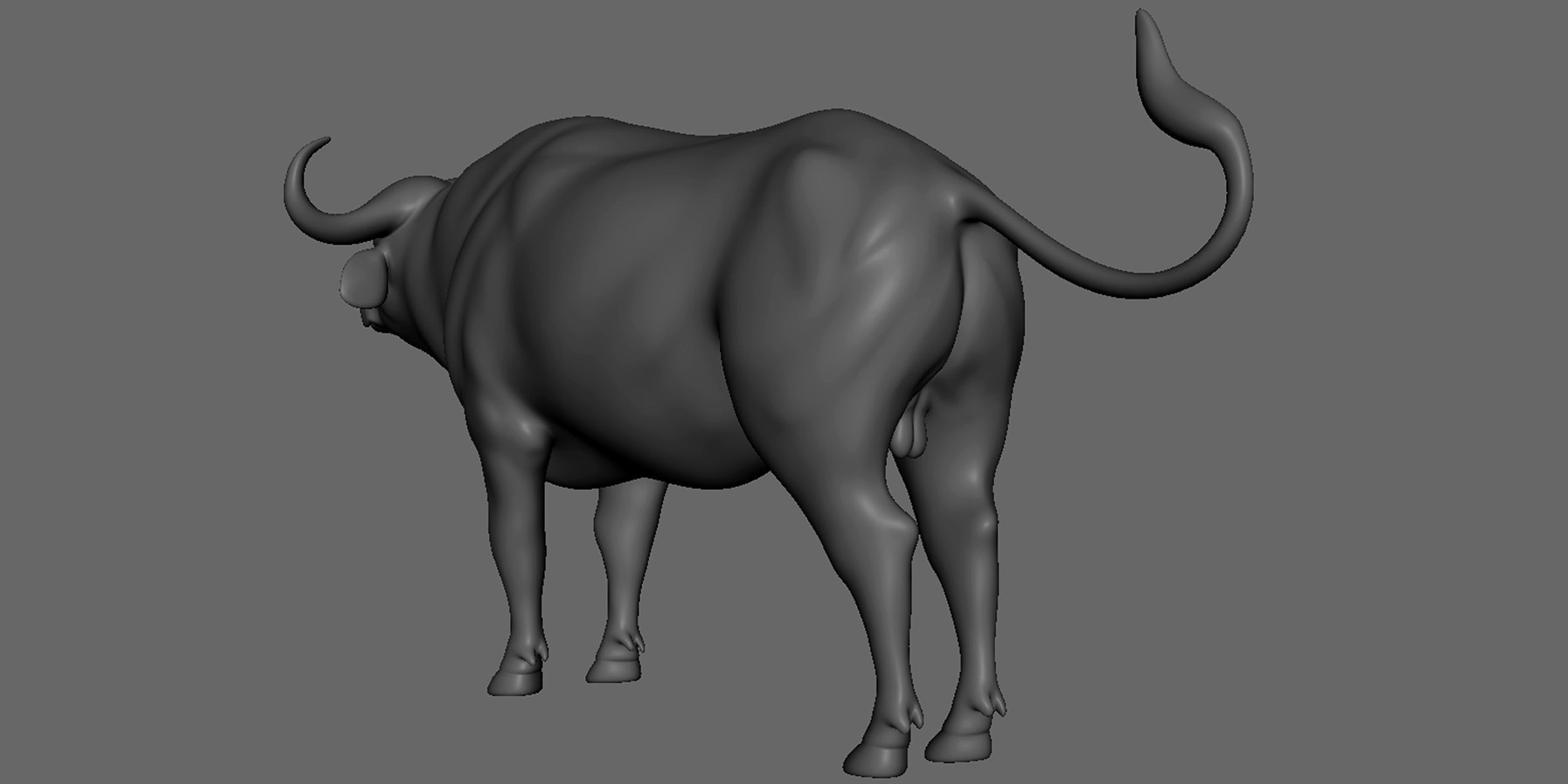 16 Wild Animals Collection _69