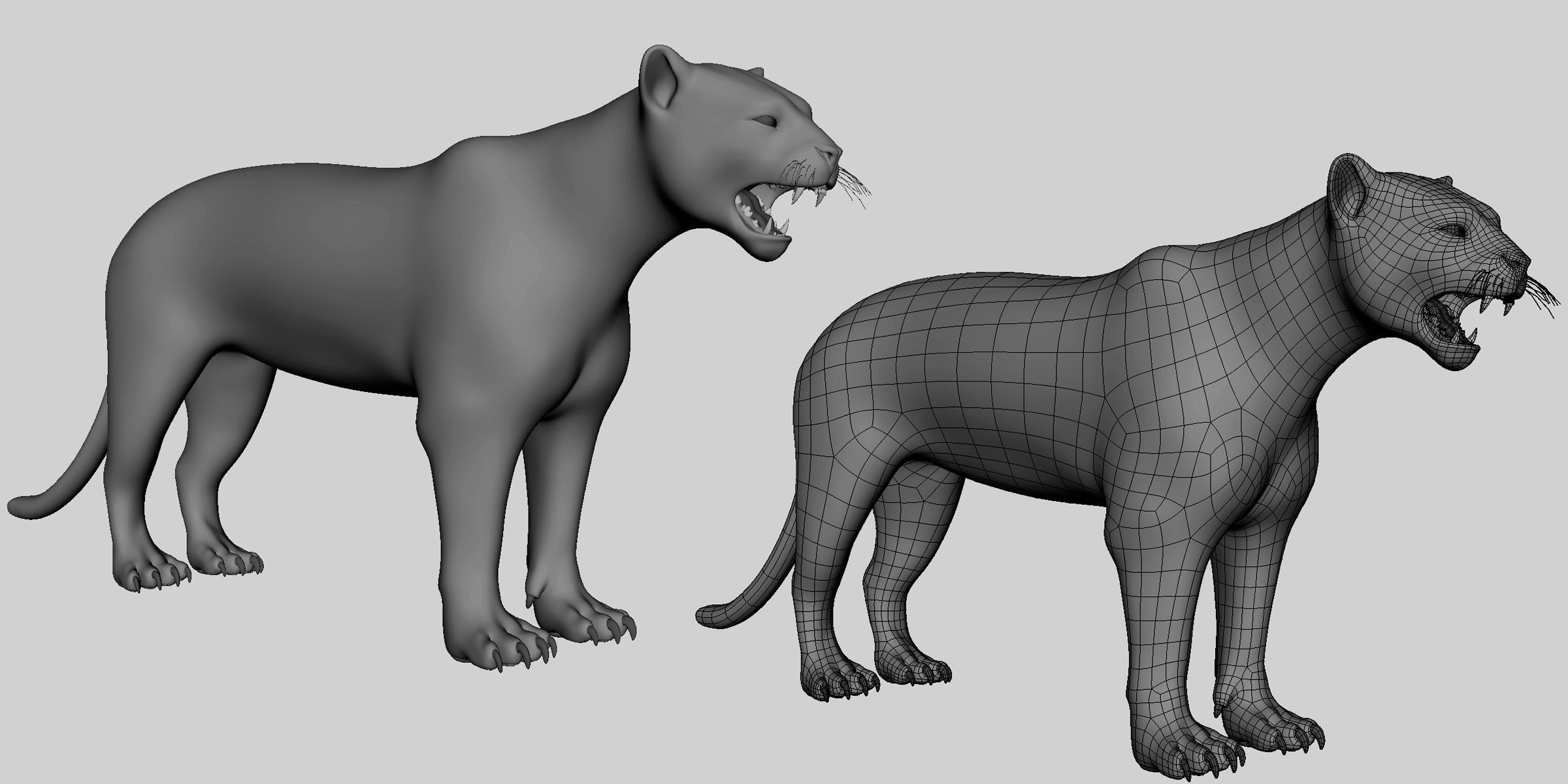 16 Wild Animals Collection _33