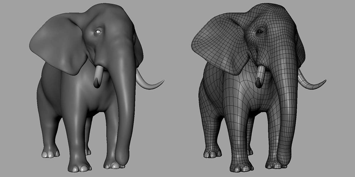 16 Wild Animals Collection _23