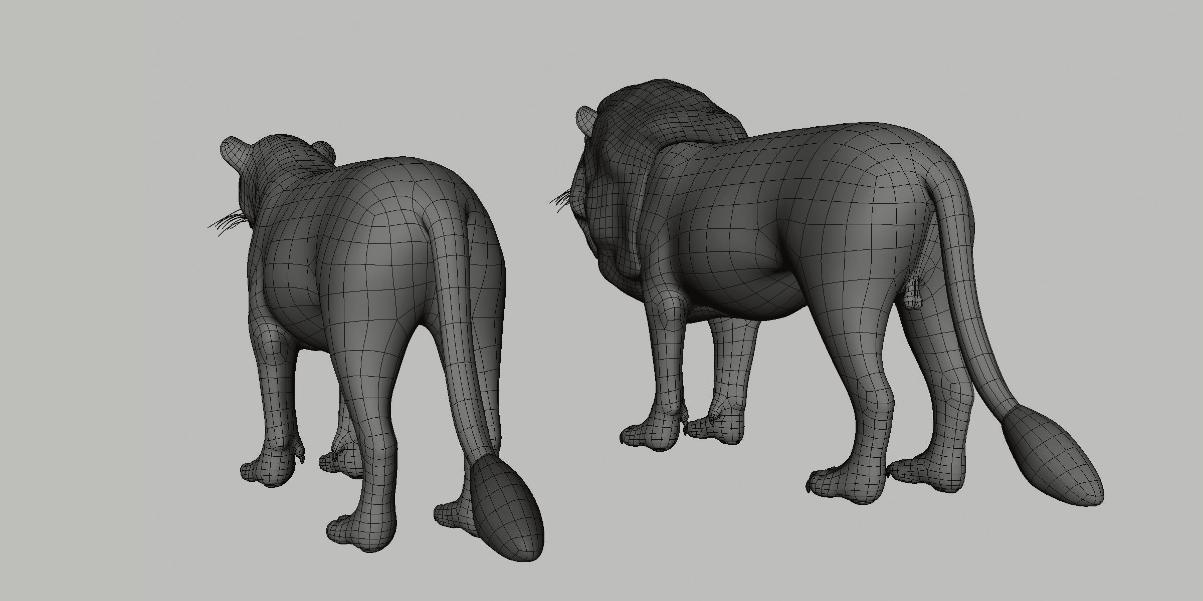 16 Wild Animals Collection _63