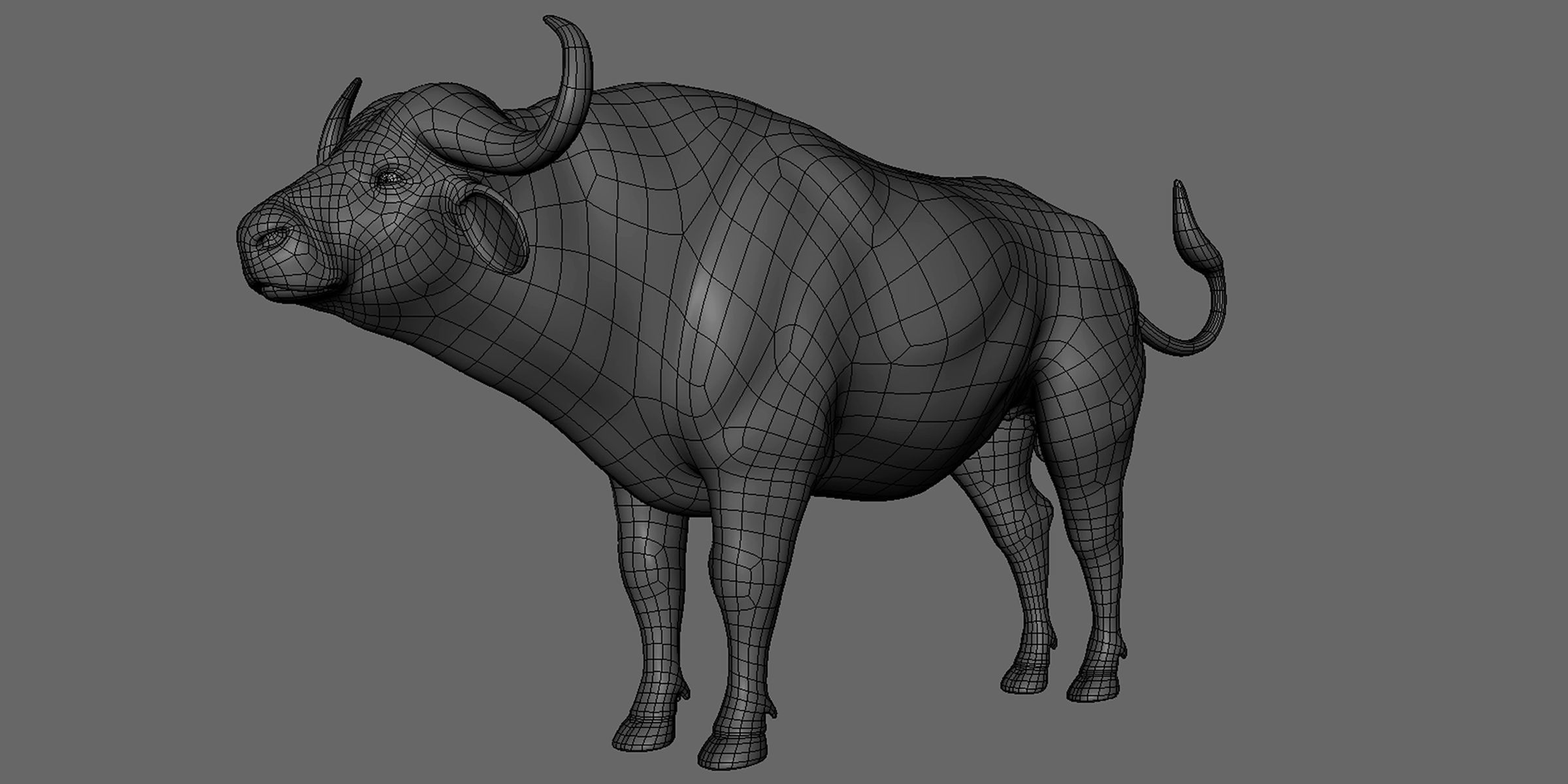 16 Wild Animals Collection _70