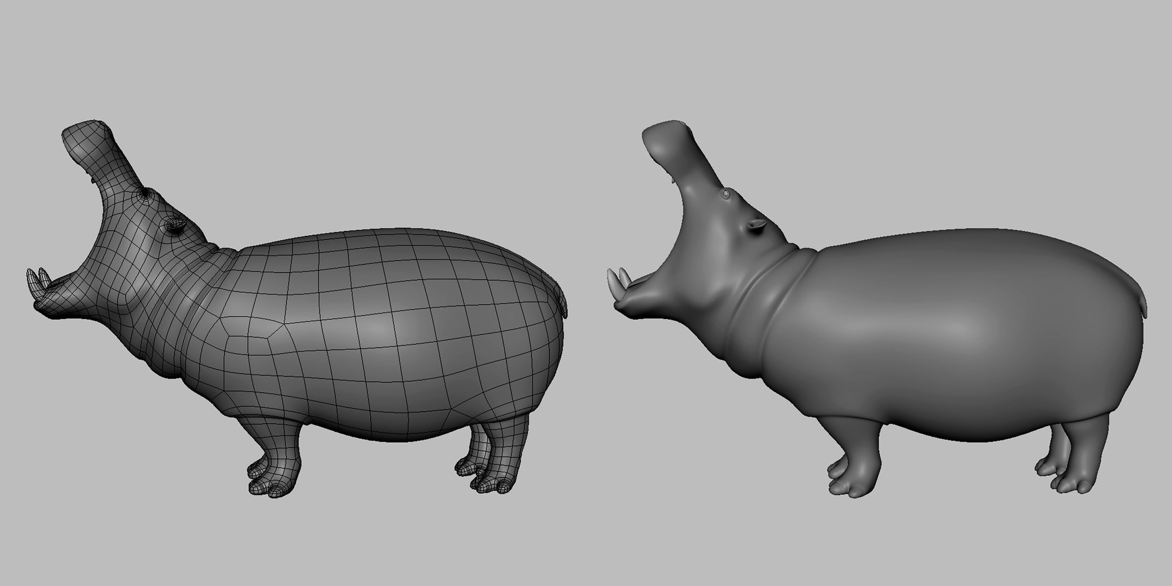 16 Wild Animals Collection _55