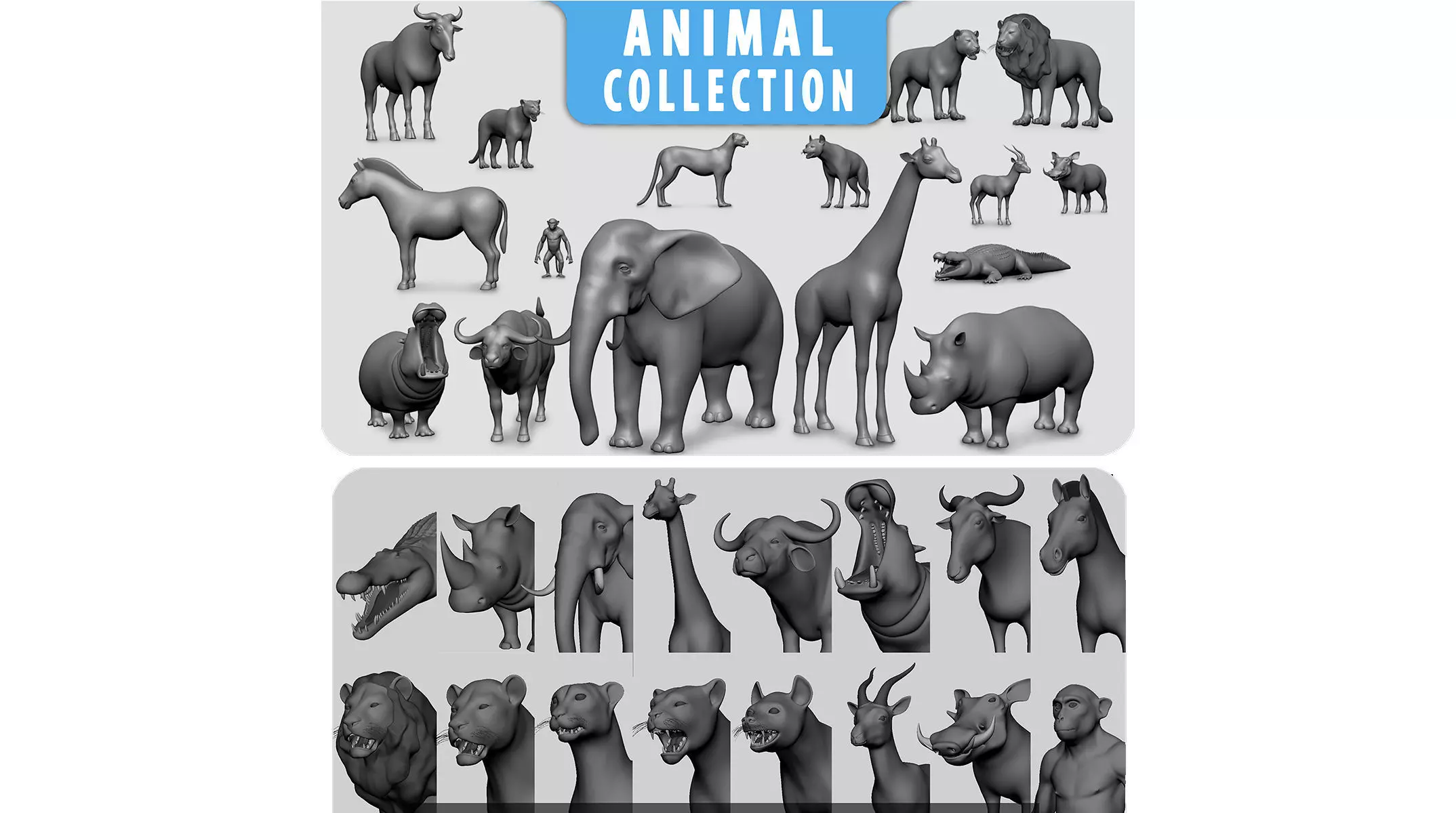 16 Wild Animals Collection _0