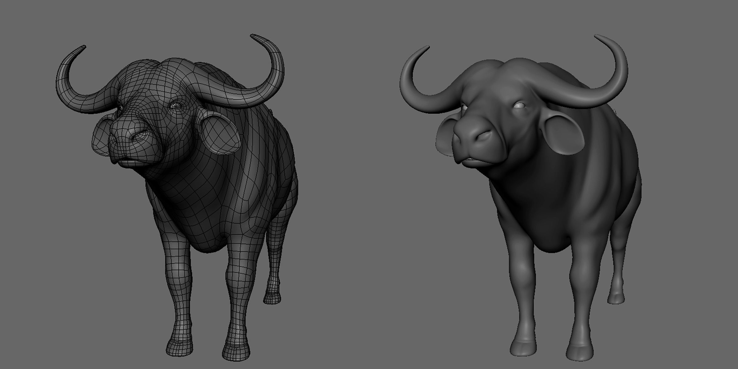 16 Wild Animals Collection _65