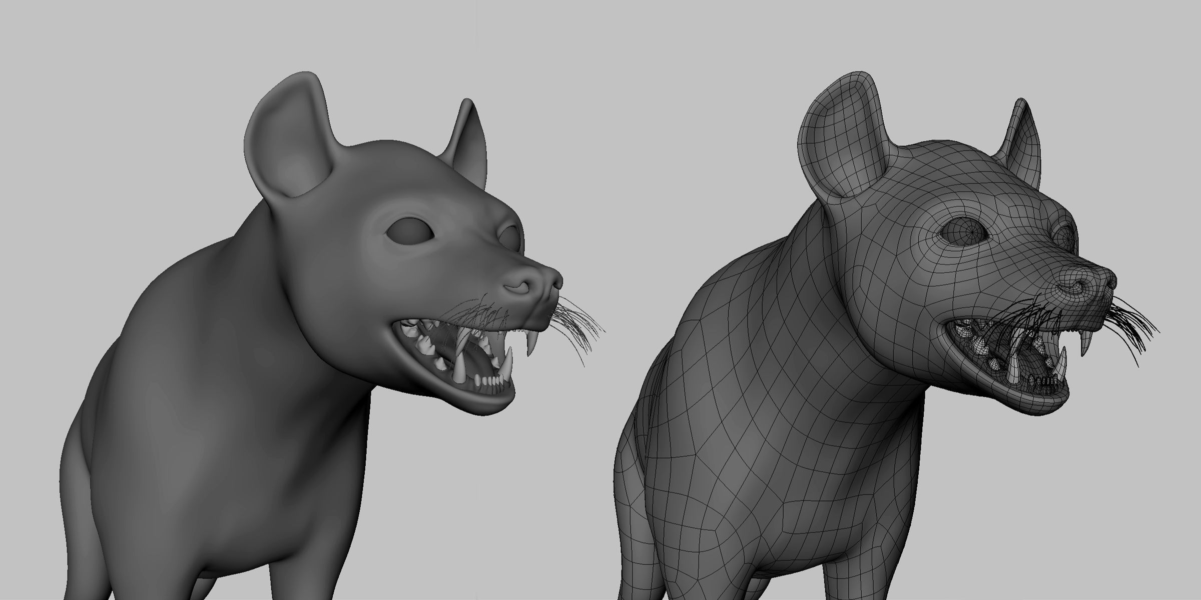 16 Wild Animals Collection _36