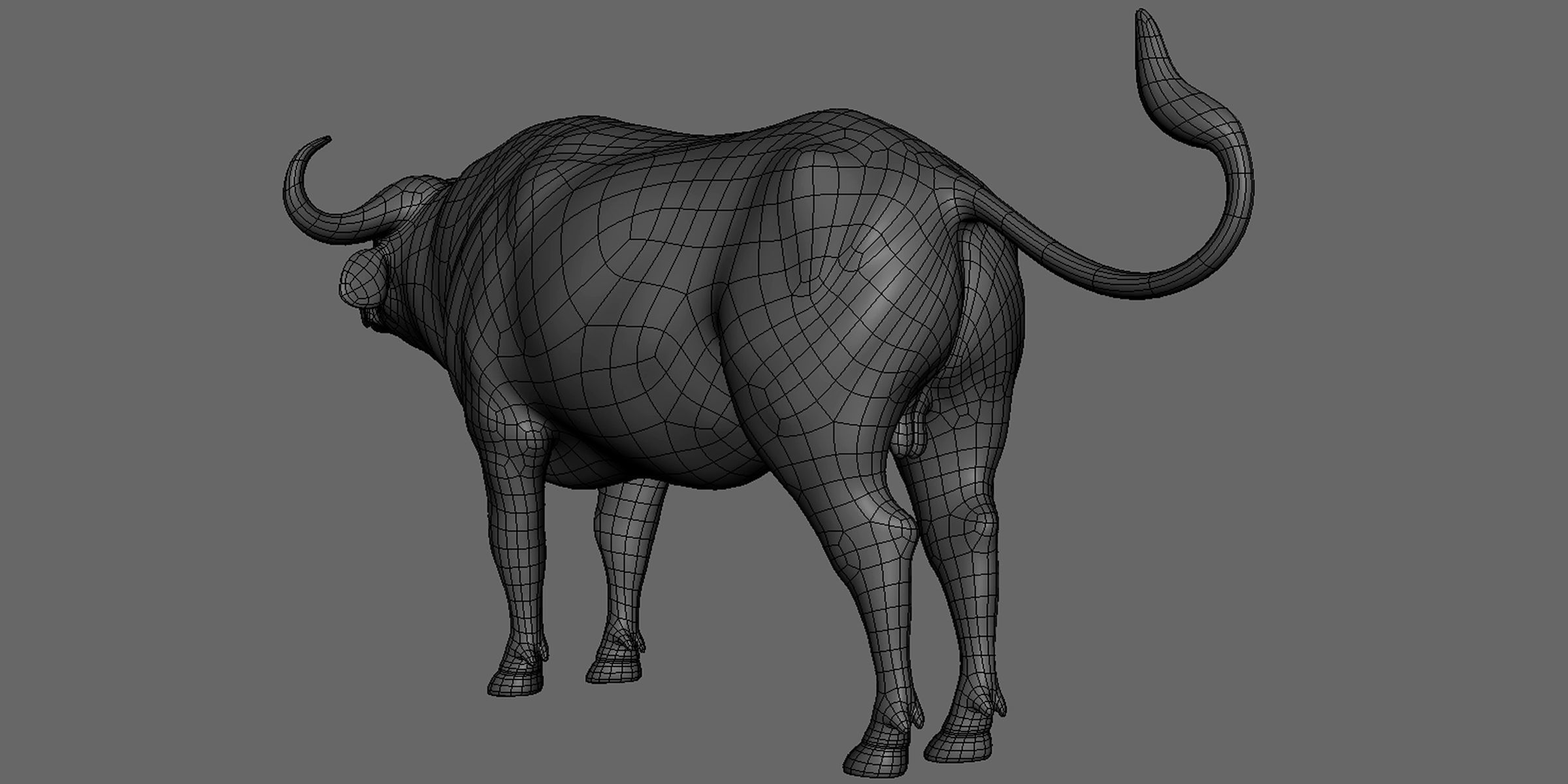 16 Wild Animals Collection _71