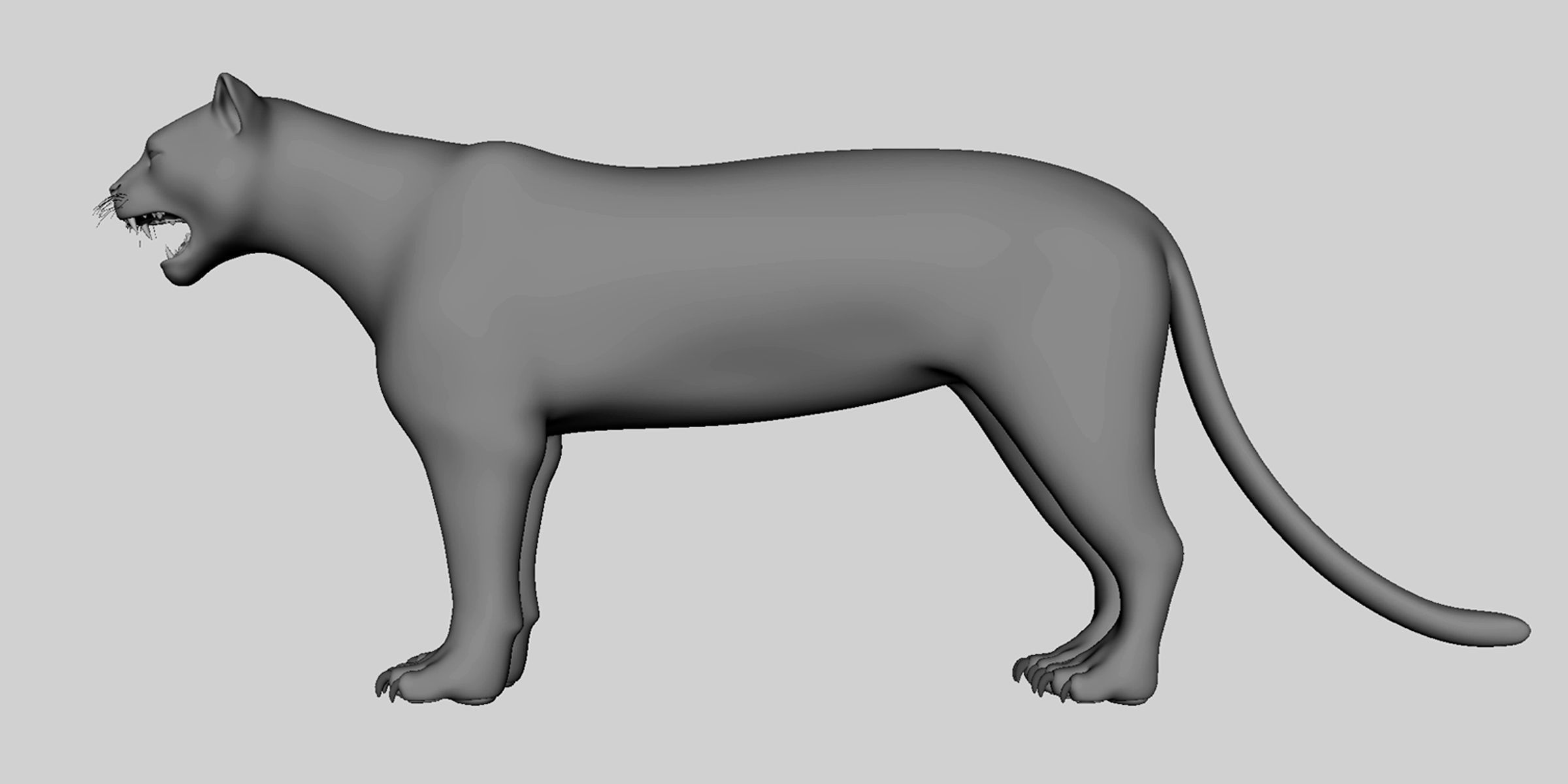 16 Wild Animals Collection _32