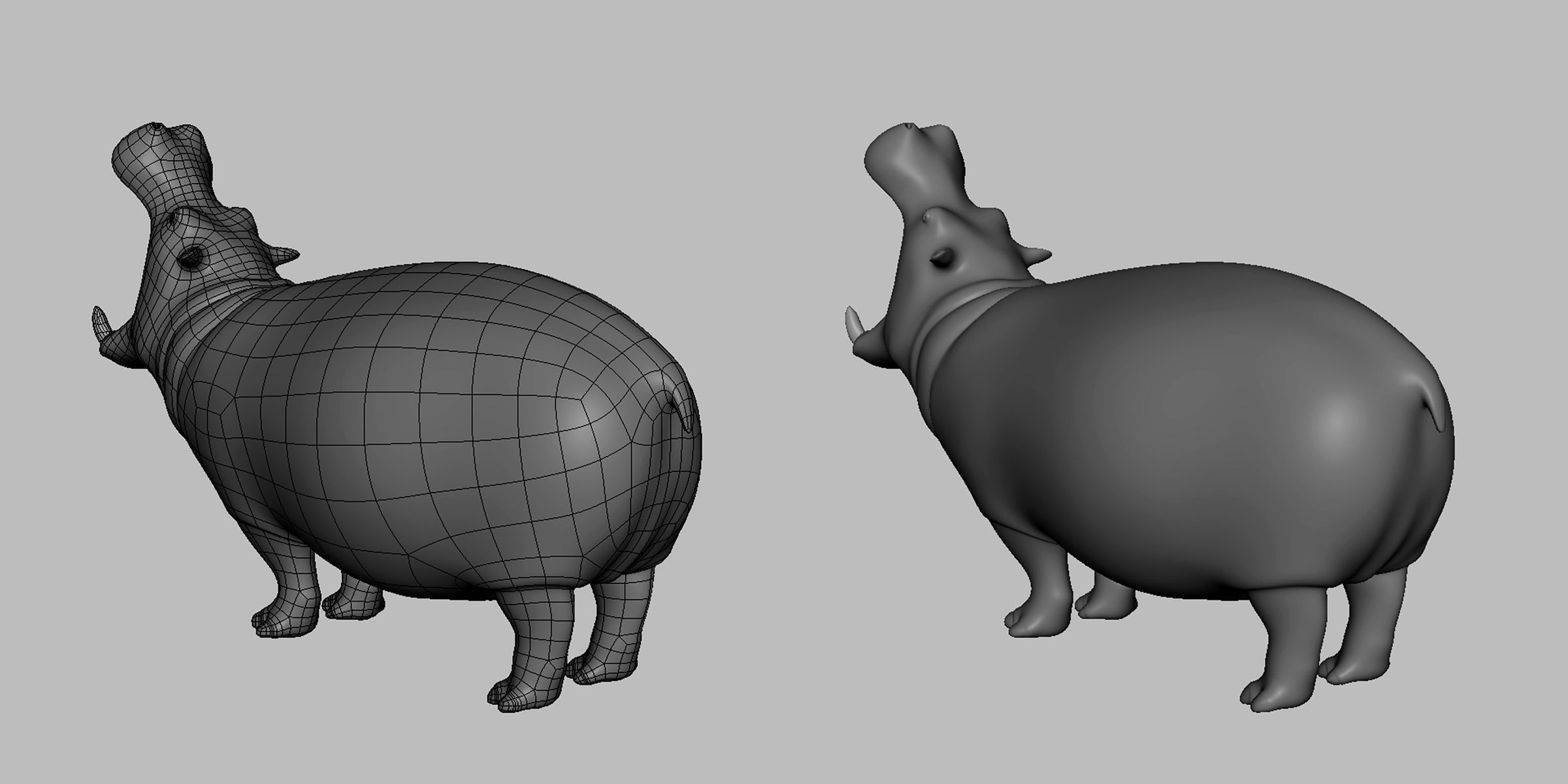 16 Wild Animals Collection _57