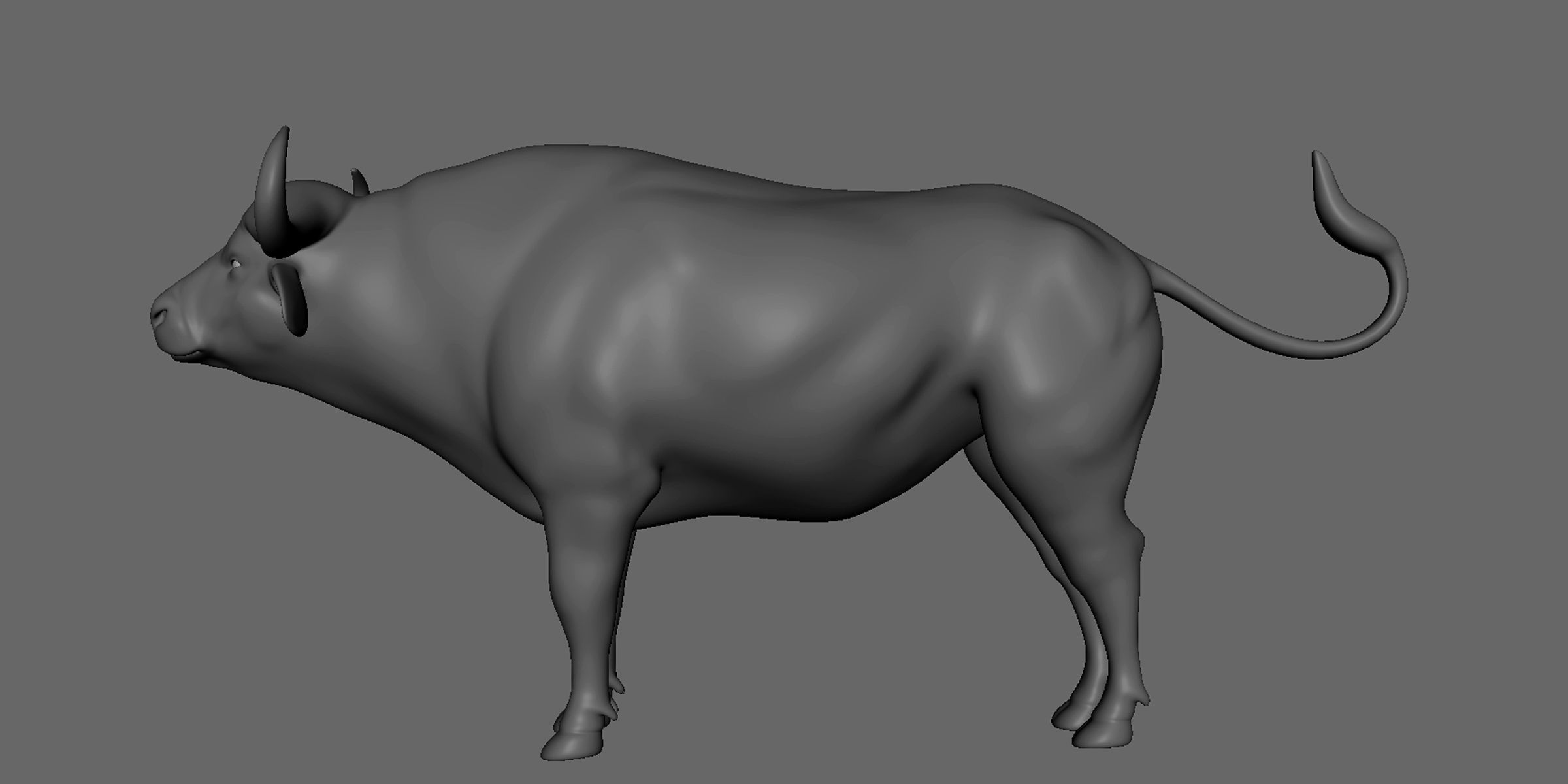 16 Wild Animals Collection _66