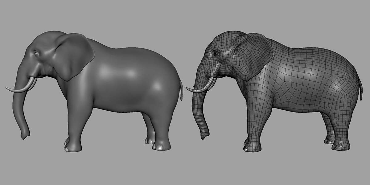 16 Wild Animals Collection _22