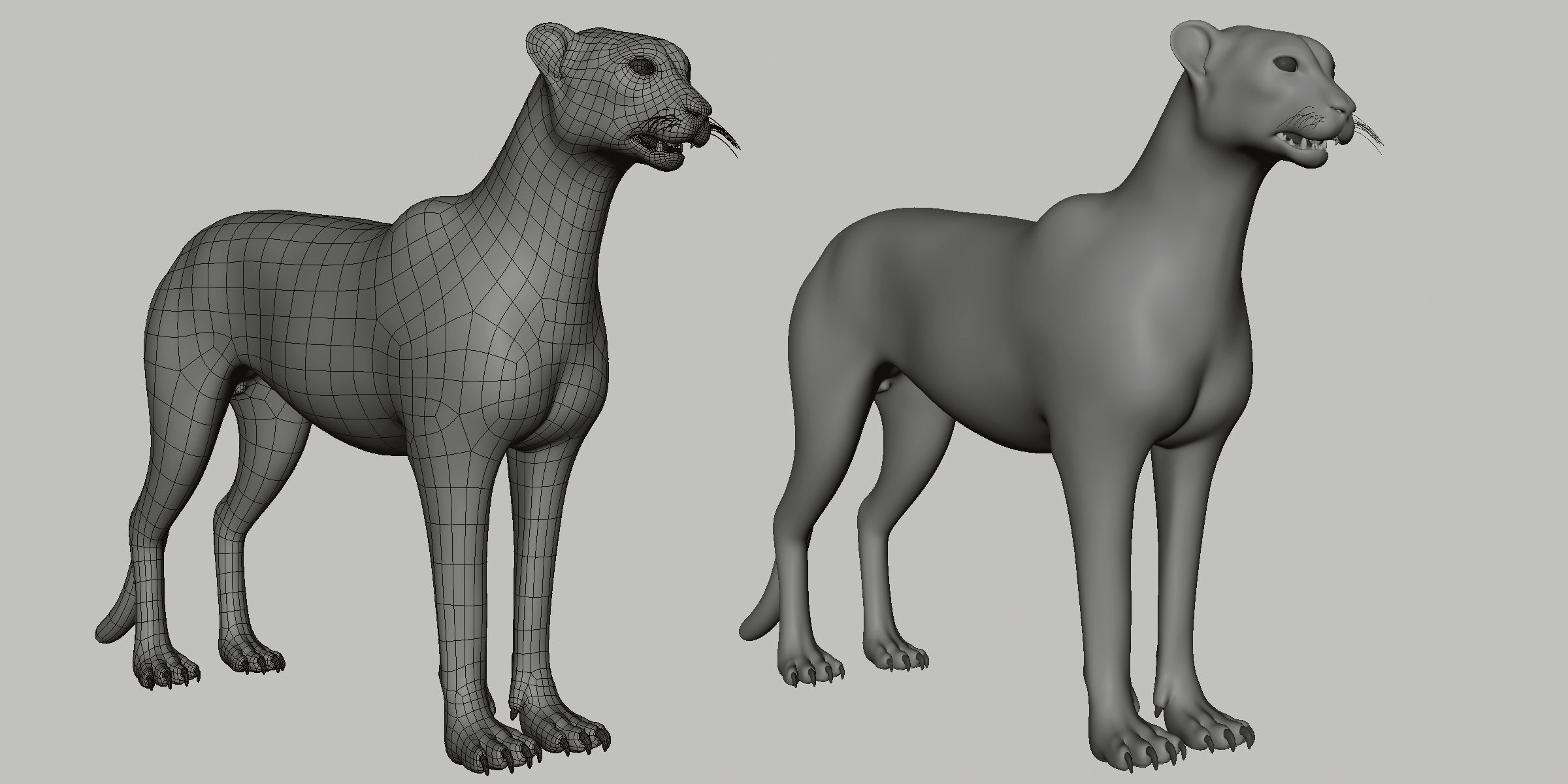 16 Wild Animals Collection _77