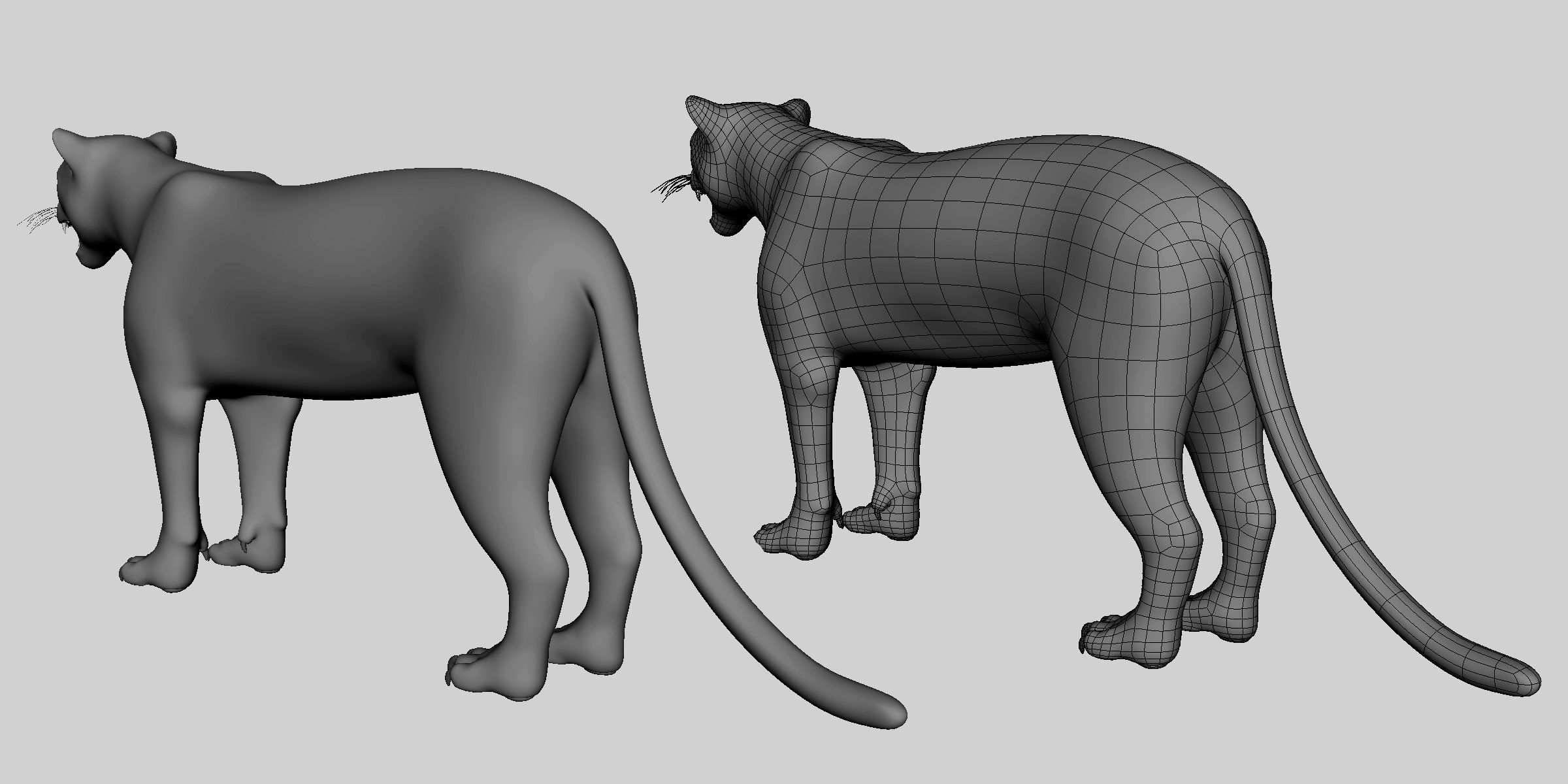 16 Wild Animals Collection _35