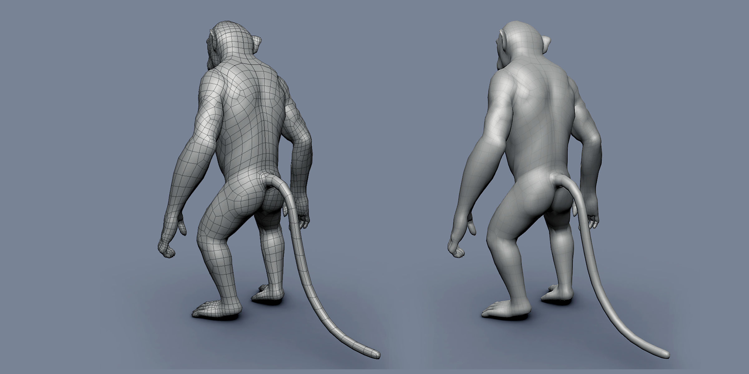 16 Wild Animals Collection _85