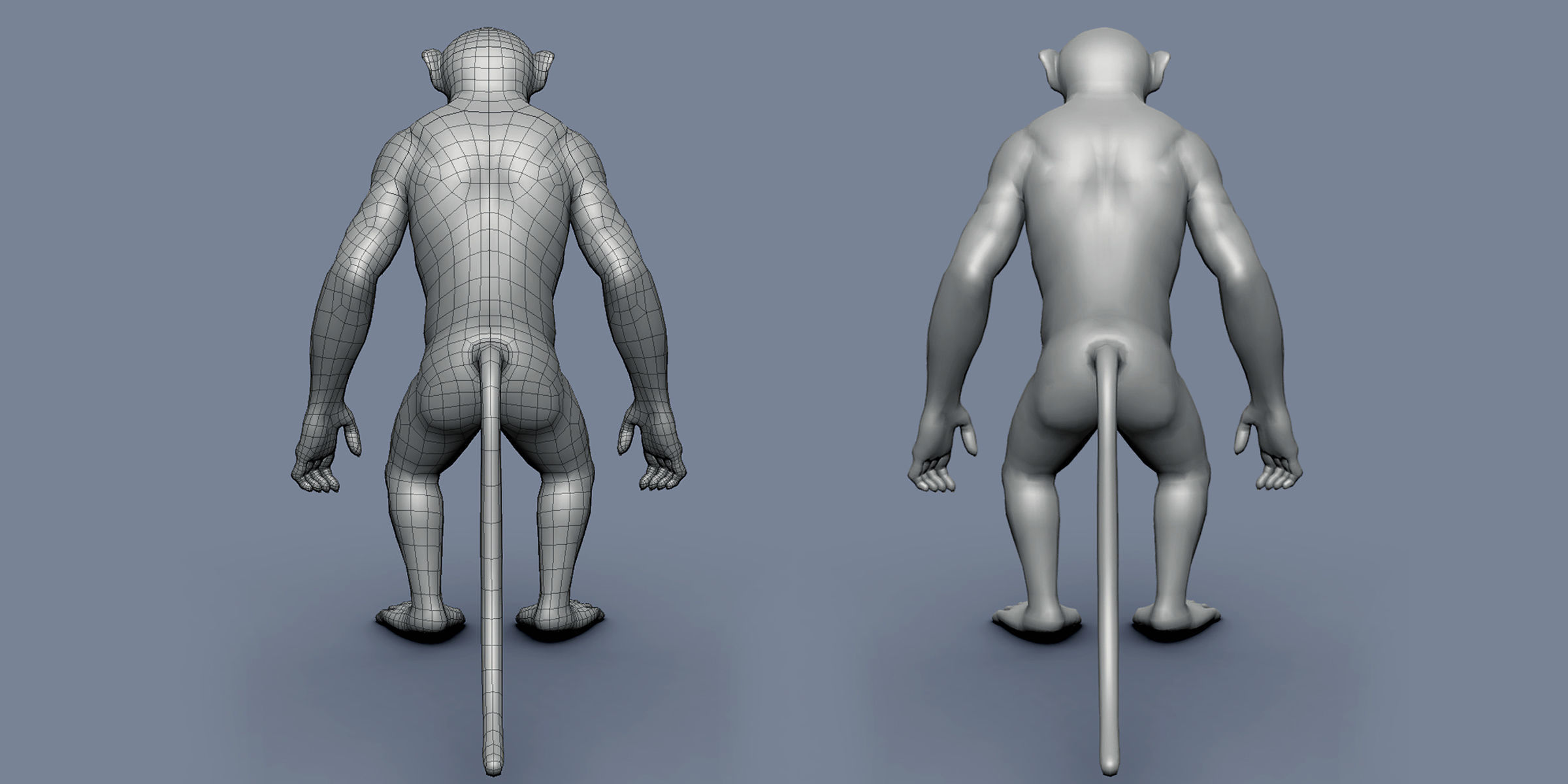 16 Wild Animals Collection _88