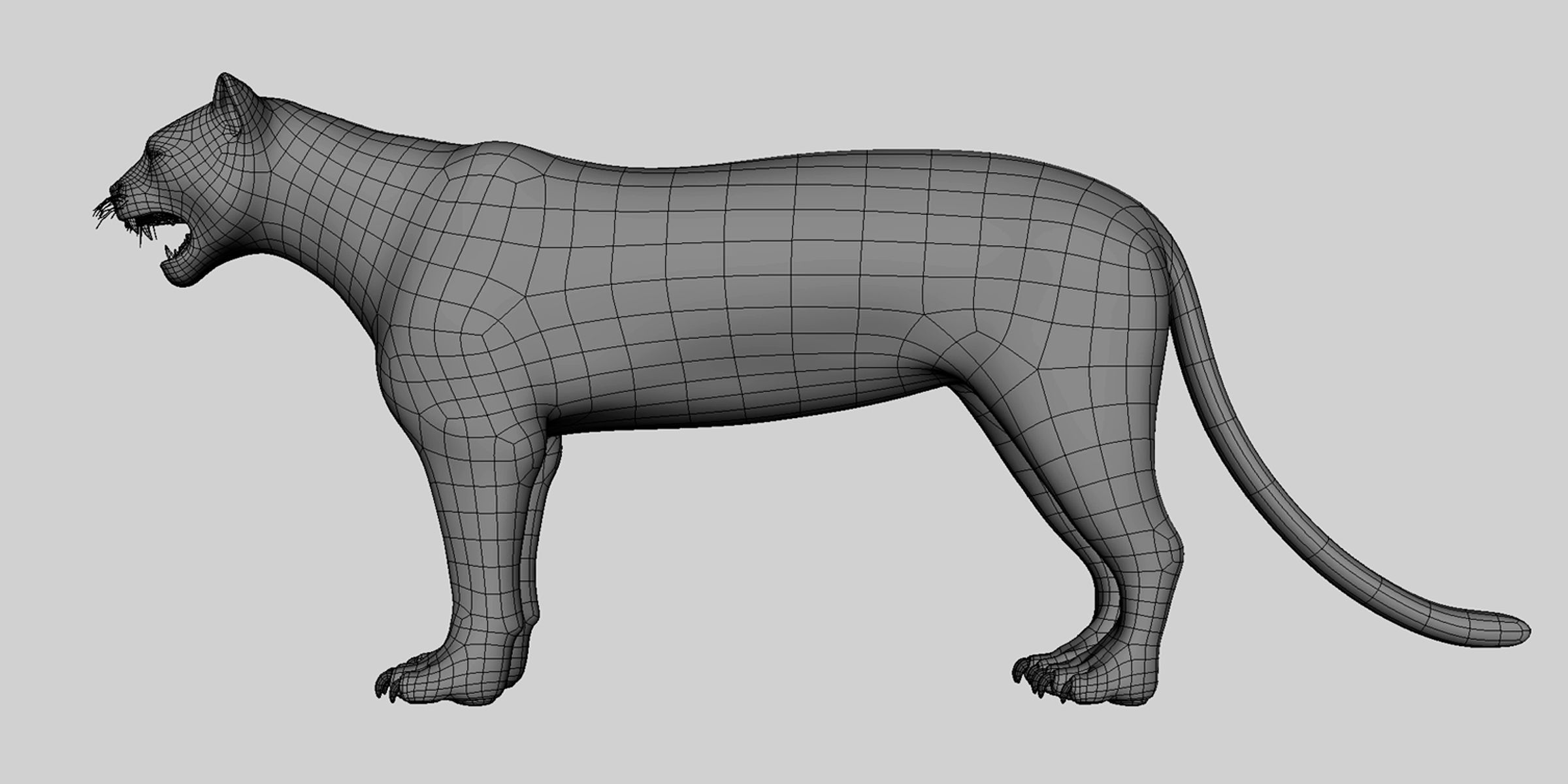 16 Wild Animals Collection _34