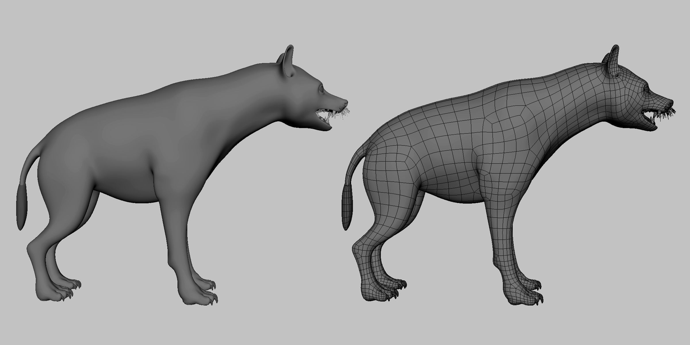 16 Wild Animals Collection _38