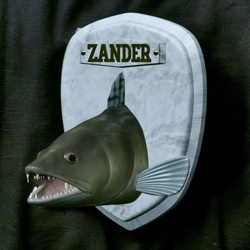 FISH HEAD TROPHY ZANDER STATUE DETAILED TEXTURE FOR 3D 3D print model