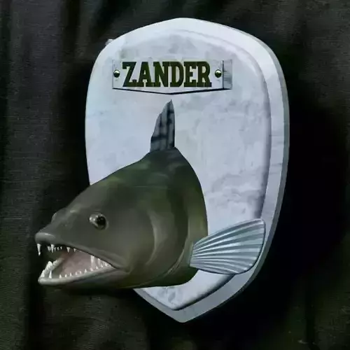 FISH HEAD TROPHY ZANDER  STATUE DETAILED TEXTURE FOR 3D  3D print model