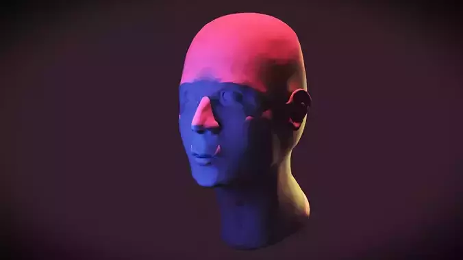 Expressive Elegance - 3D Printable Human Face Model 3D print model Expressive Elegance - 3D Printable Human Face Model 3D print model