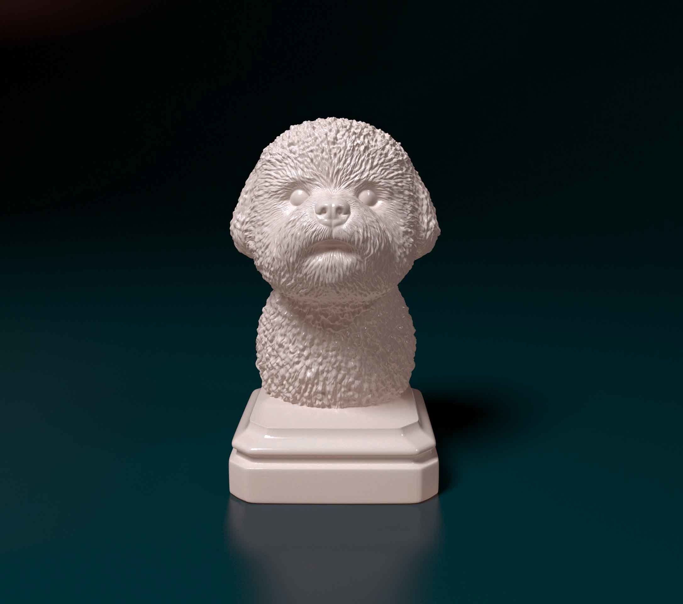 Bichon Frise bust 3D print model_2