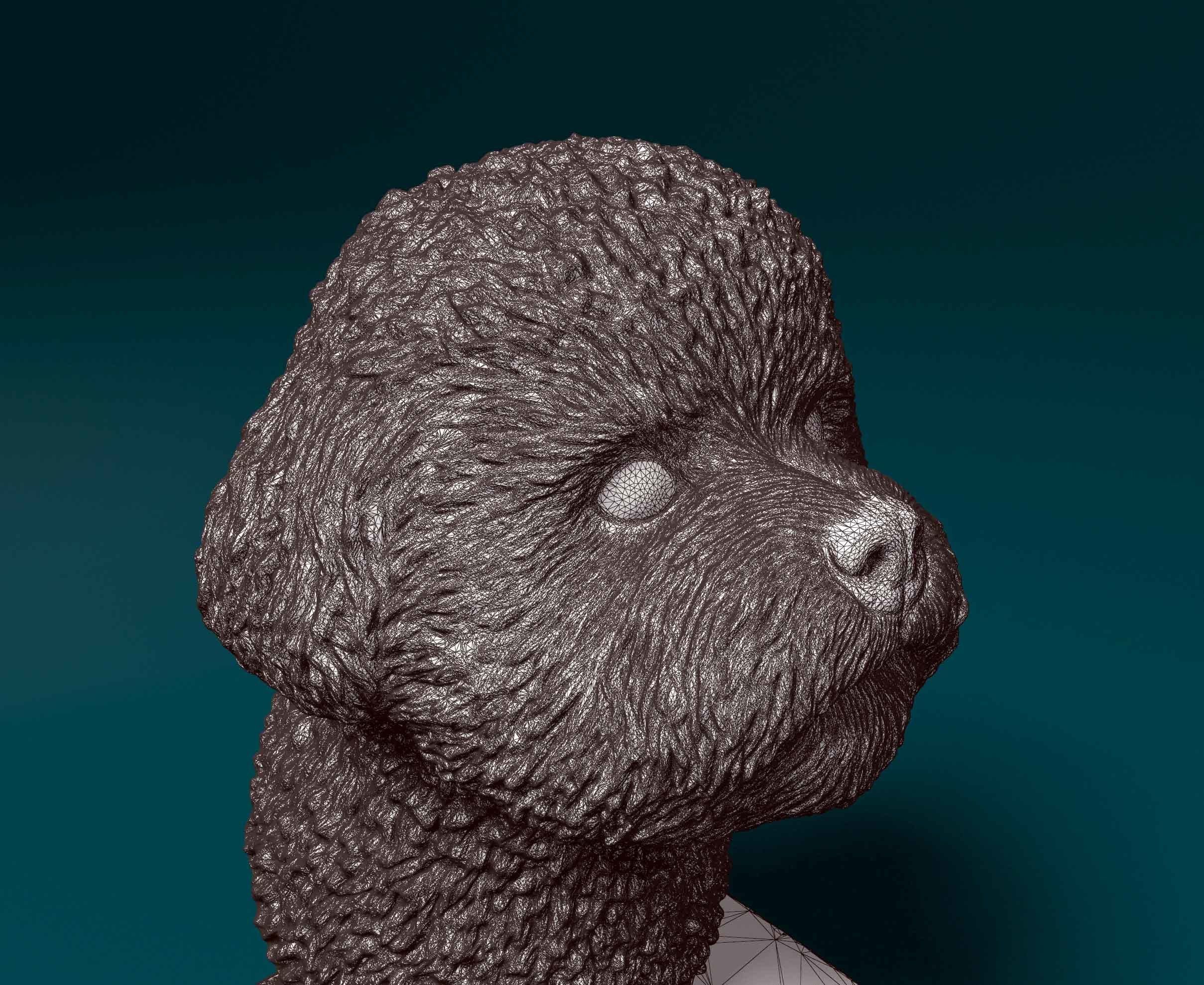 Bichon Frise bust 3D print model_3