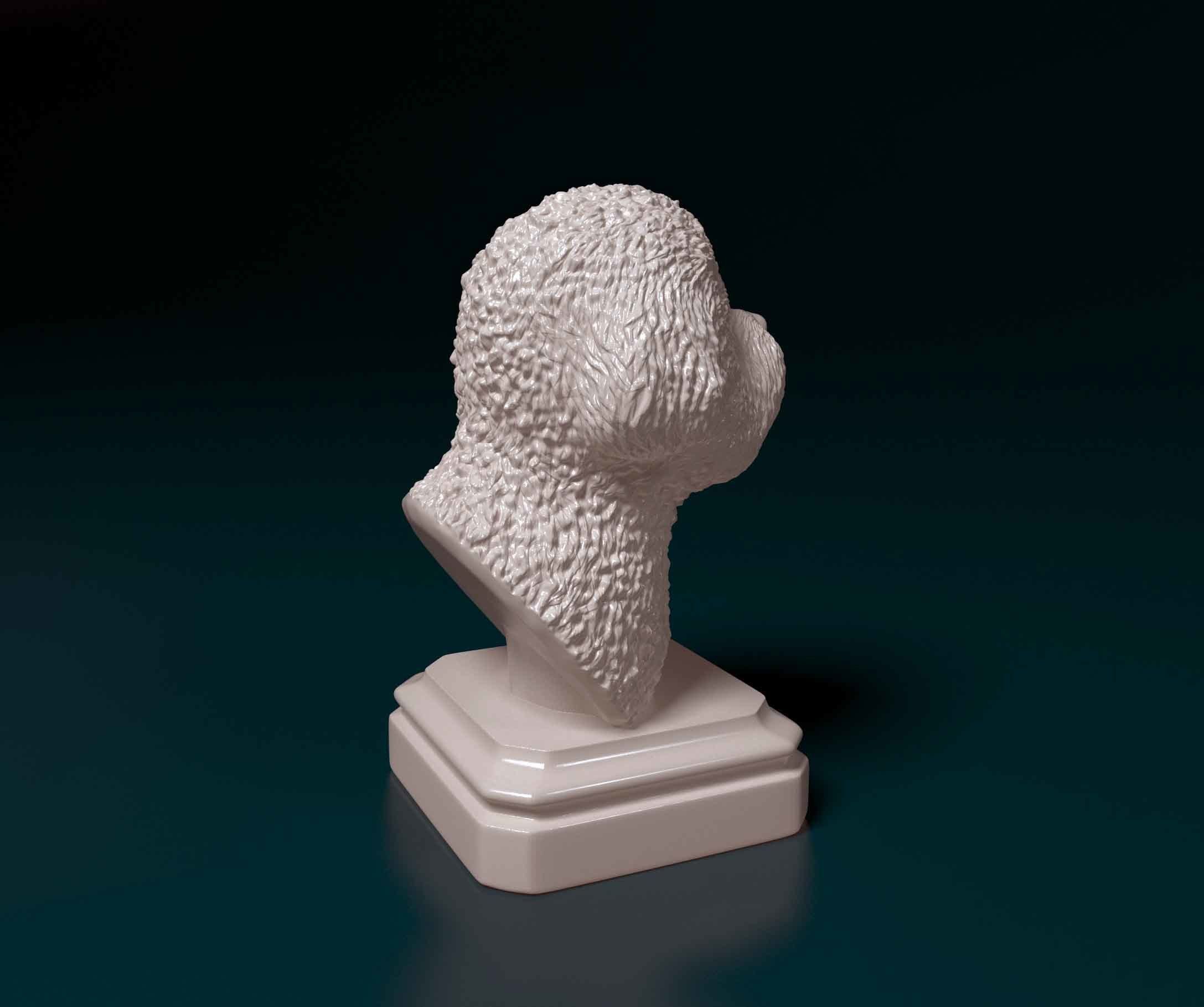 Bichon Frise bust 3D print model_1