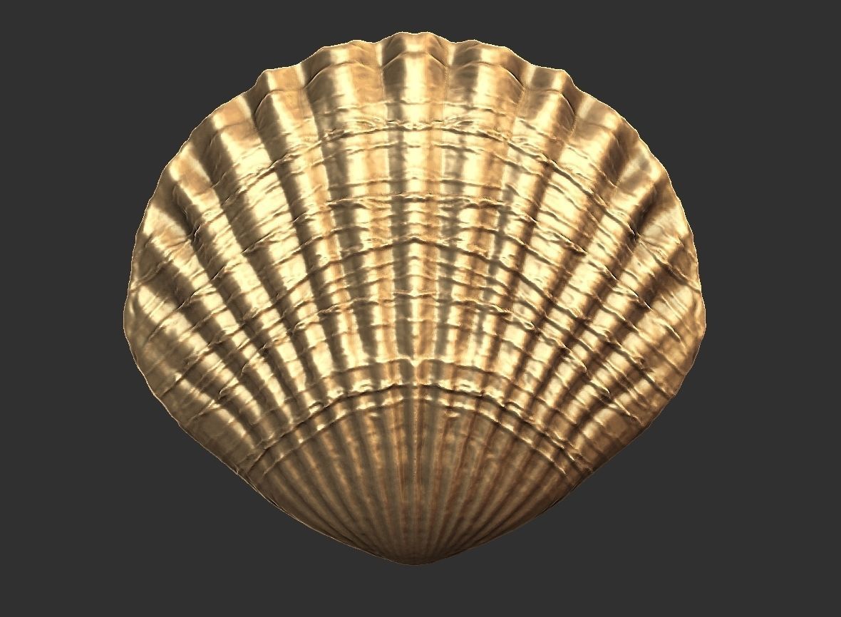 SEA FOSSIL - SHELL 3D print model_1