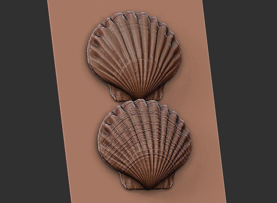 SEA FOSSIL - SHELL 3D print model_12
