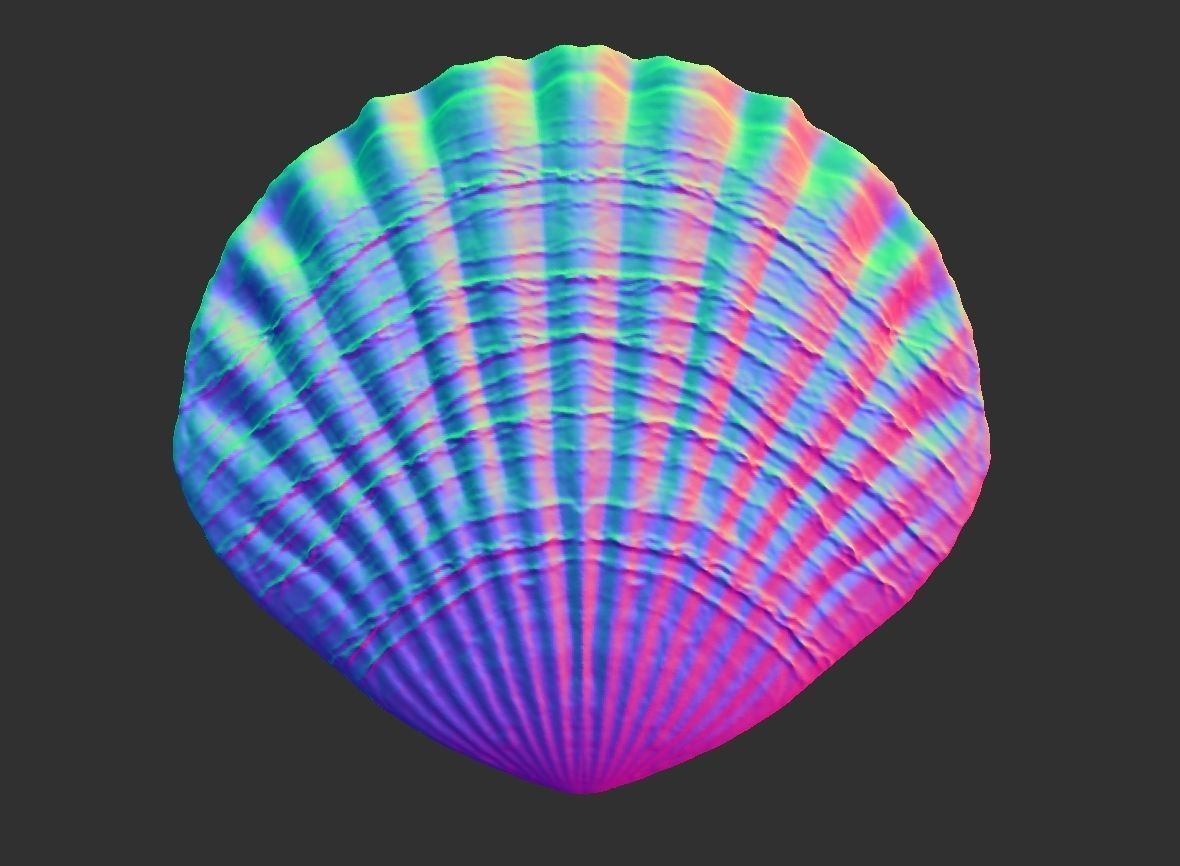 SEA FOSSIL - SHELL 3D print model_3