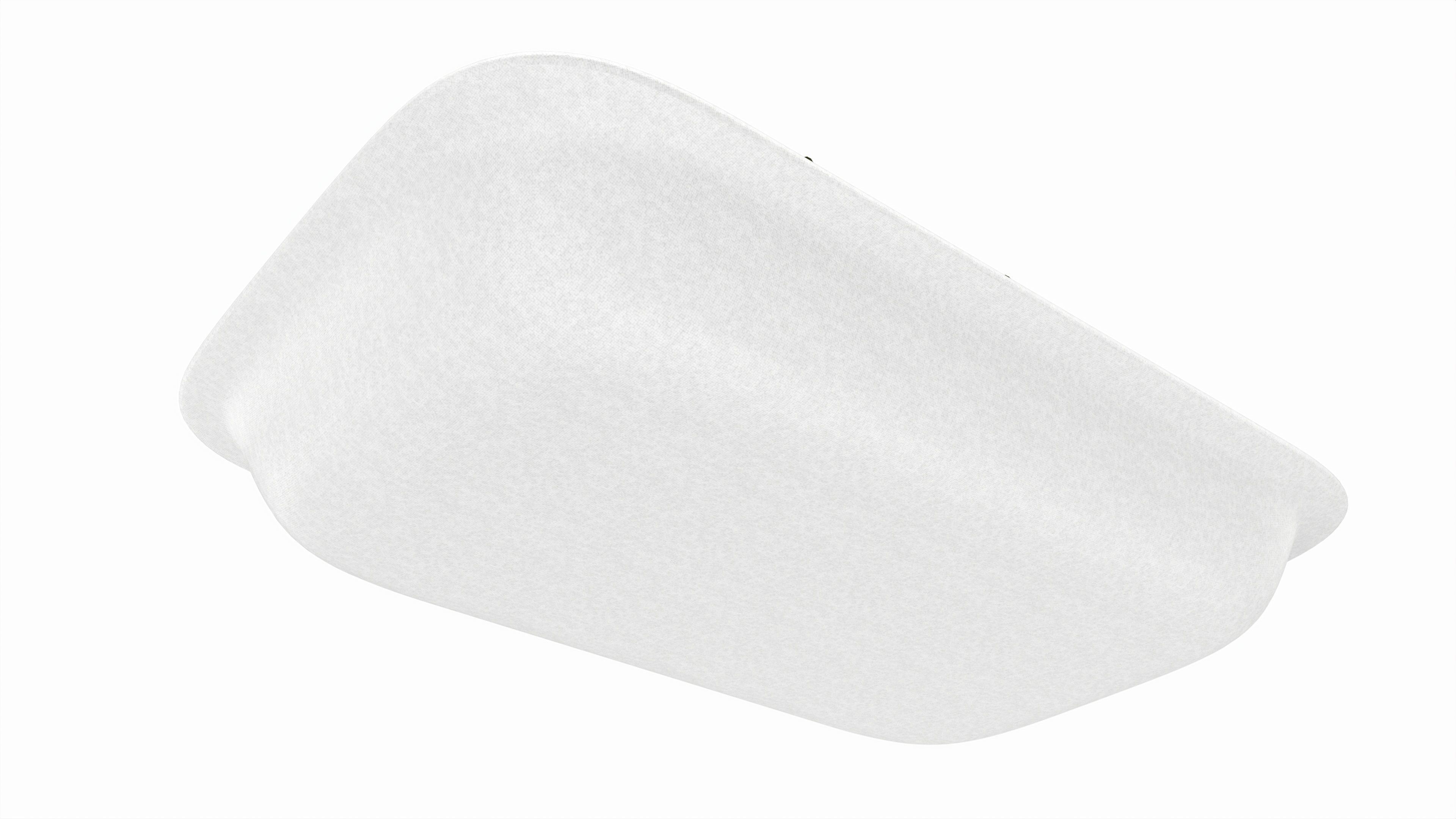 Tomatoes with tray 01 3D model_3