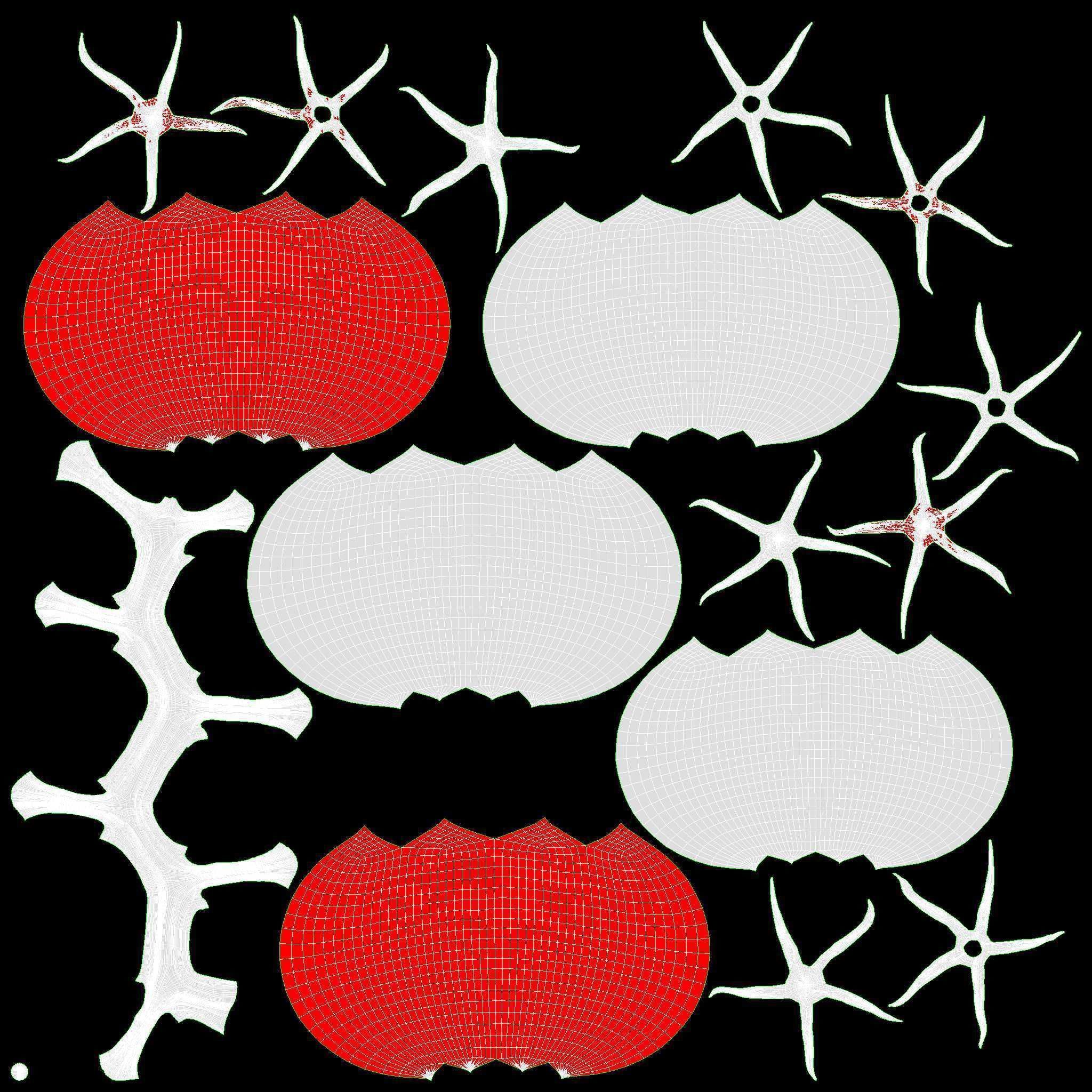 Tomatoes with tray 01 3D model_8