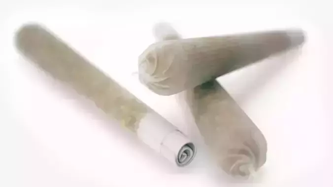 Realistic rolled Cannabis Joint