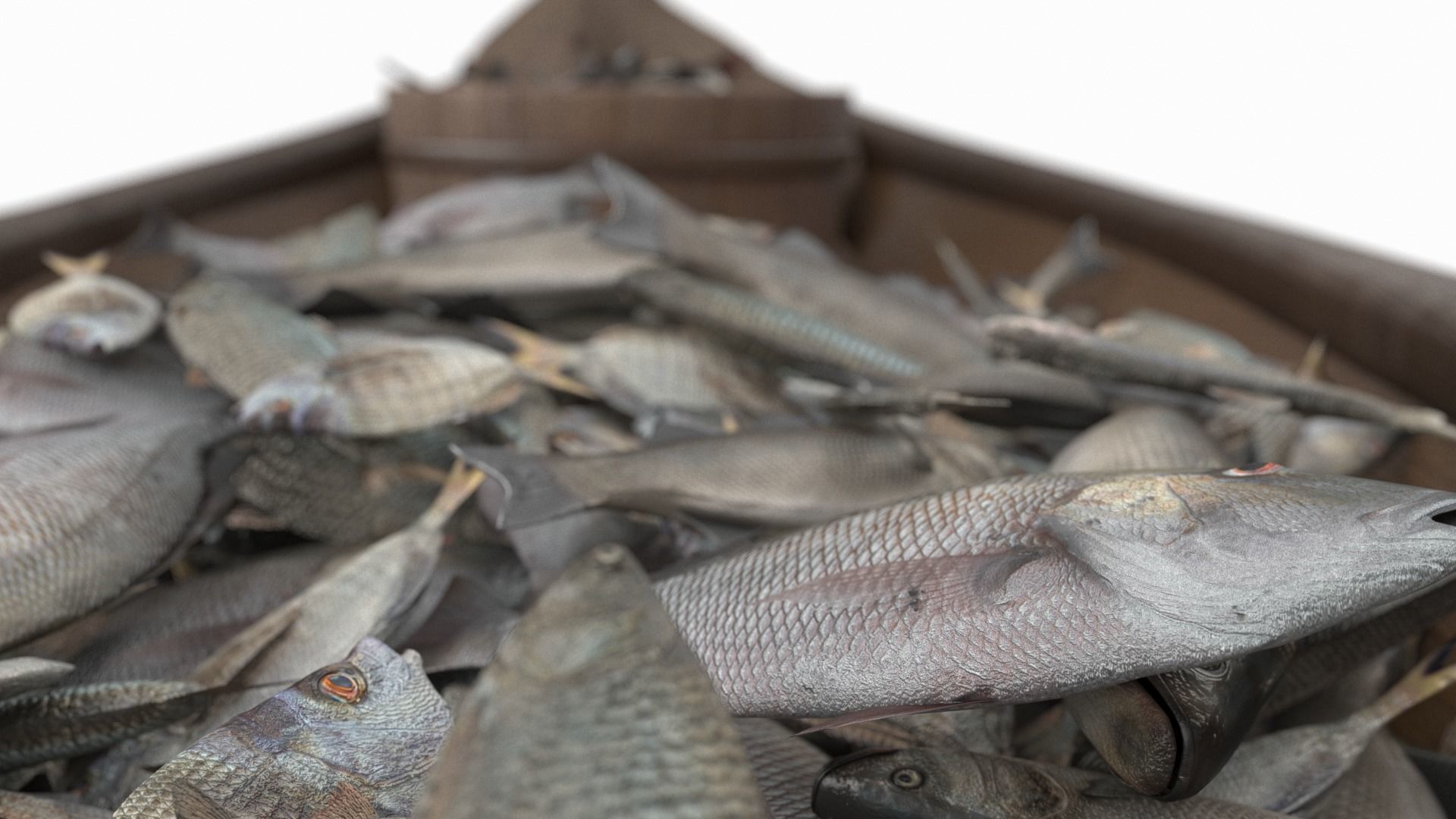 Small Wooden Fishing Boat Full with Fish 3D model_4