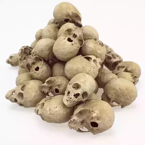 pile of skulls