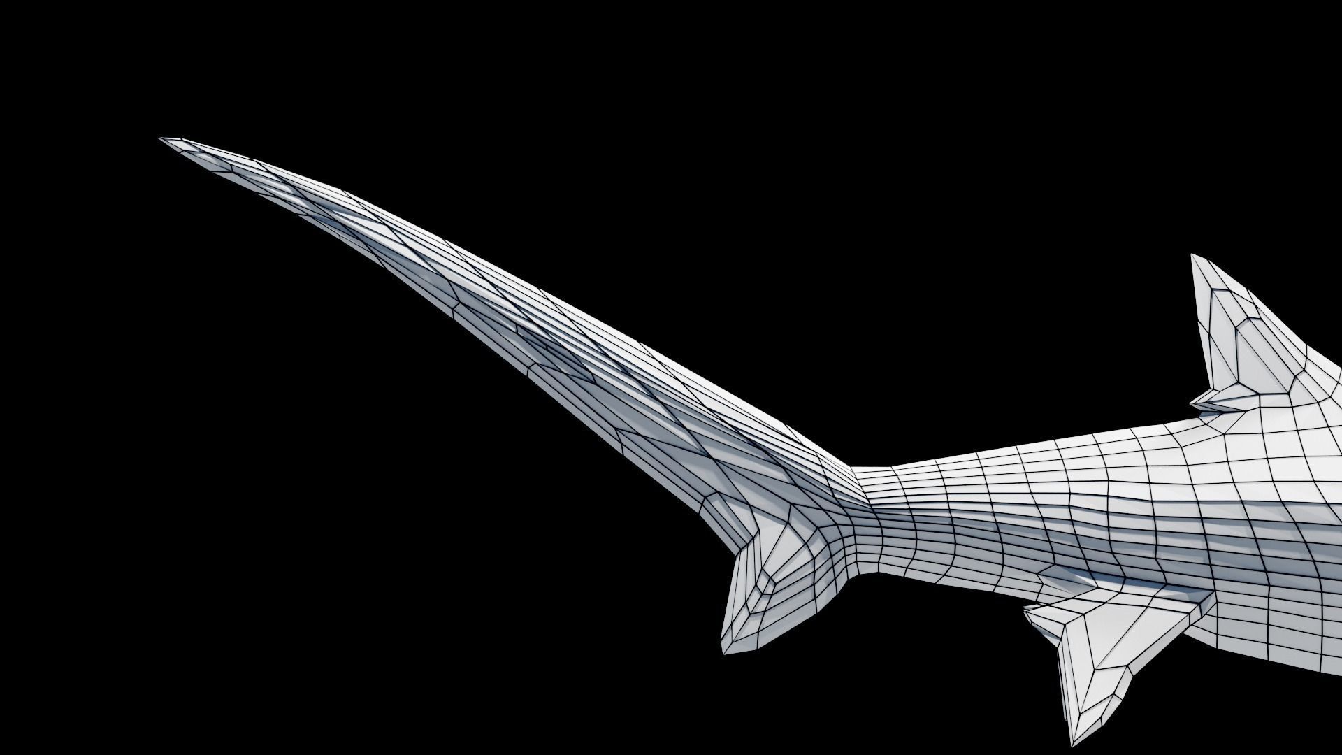 Animated Thresher Shark Low-poly 3D model_12