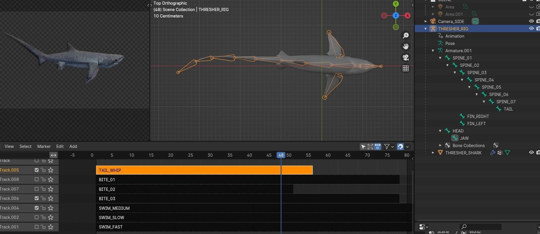 Animated Thresher Shark Low-poly 3D model_5