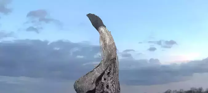 Alien meteor curved scull rock  